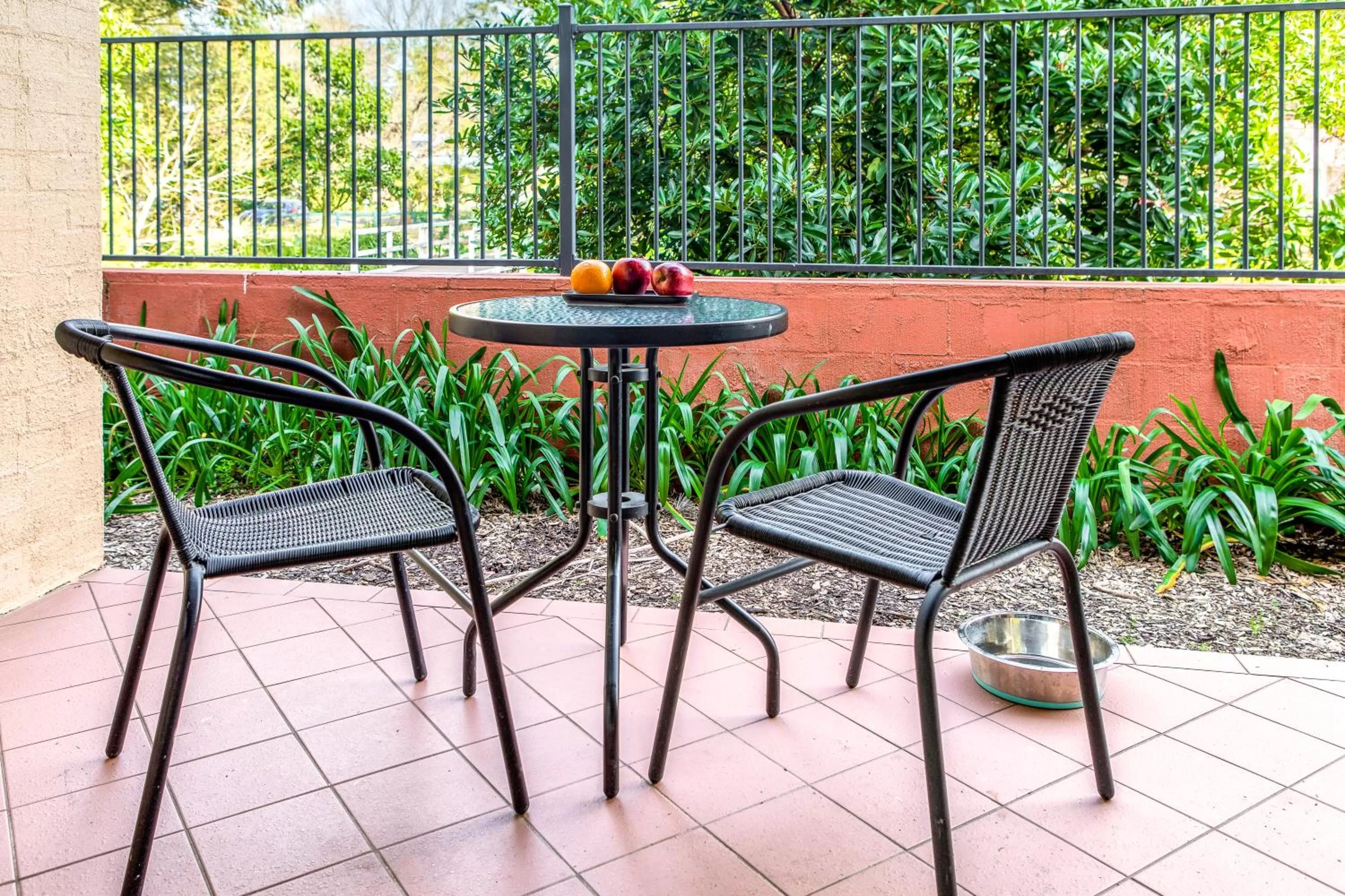 Patio in Mandala Signature Berry