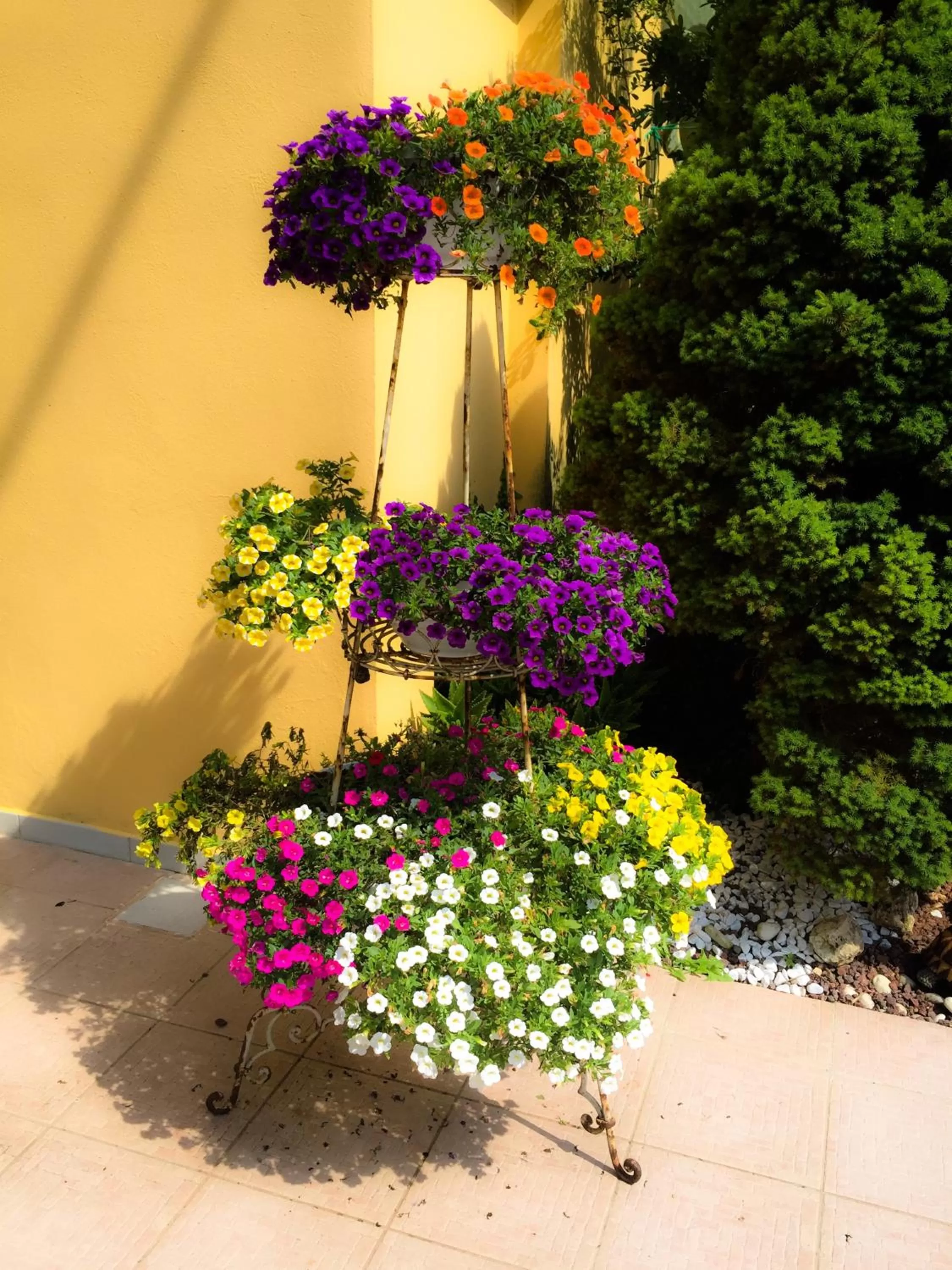 Garden in Le Pinette