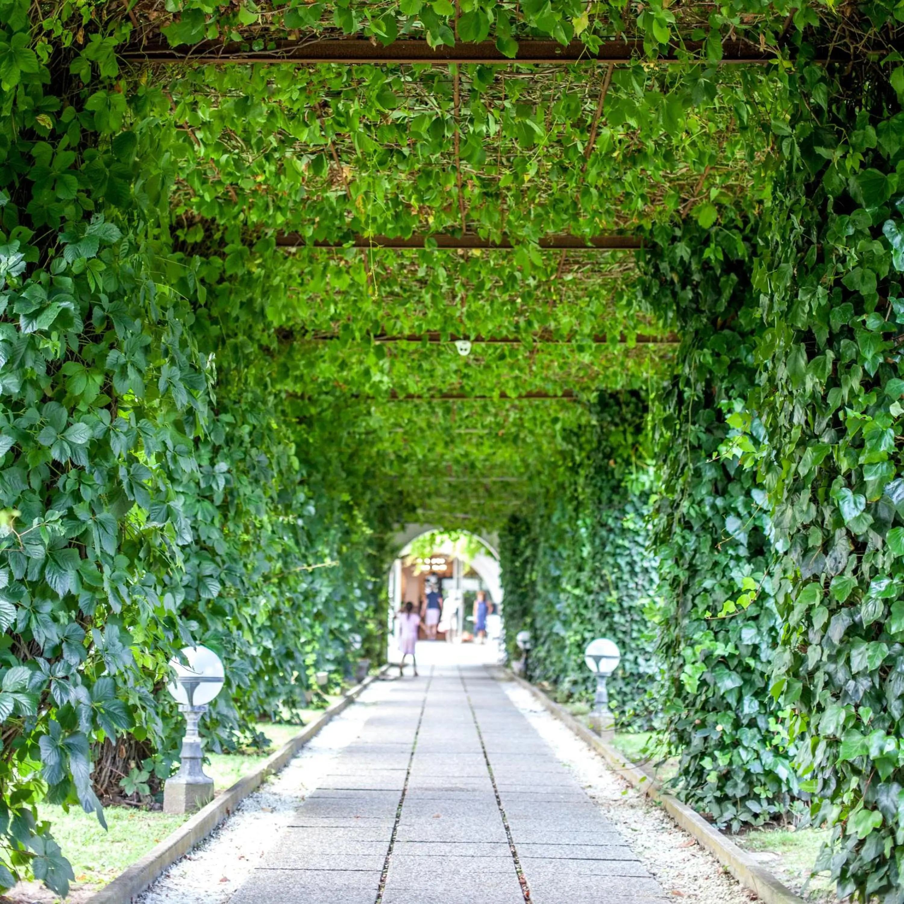 Garden view in Hotel Aurelia