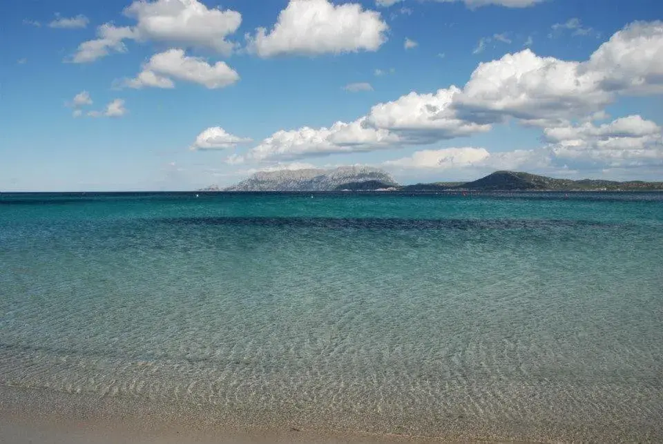 Beach in Hotel Stefania Boutique Hotel by the Beach