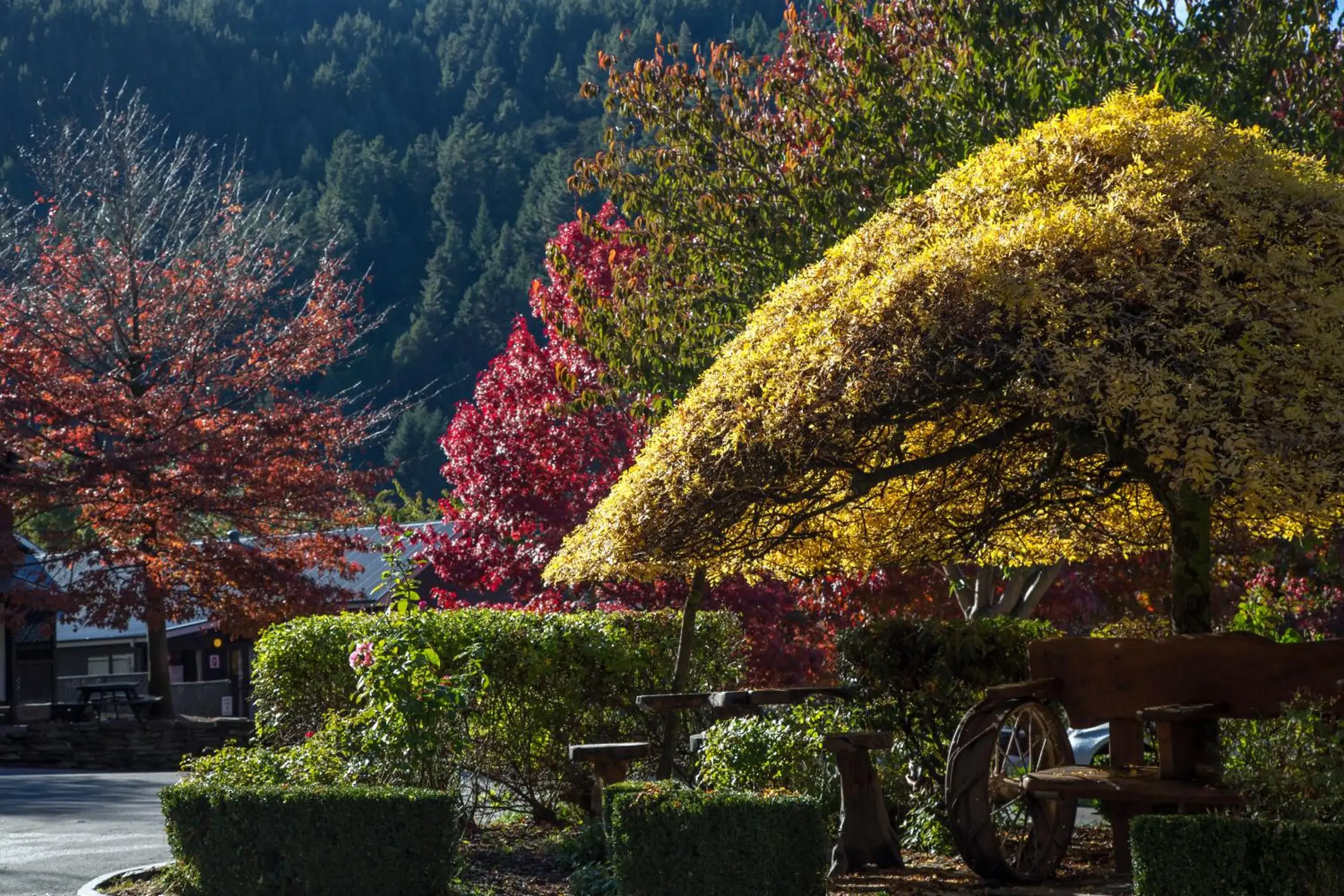 Garden in Pinewood Lodge