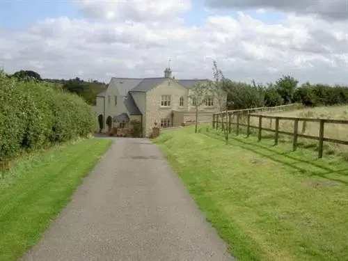 Property Building in Broccoli Bottom