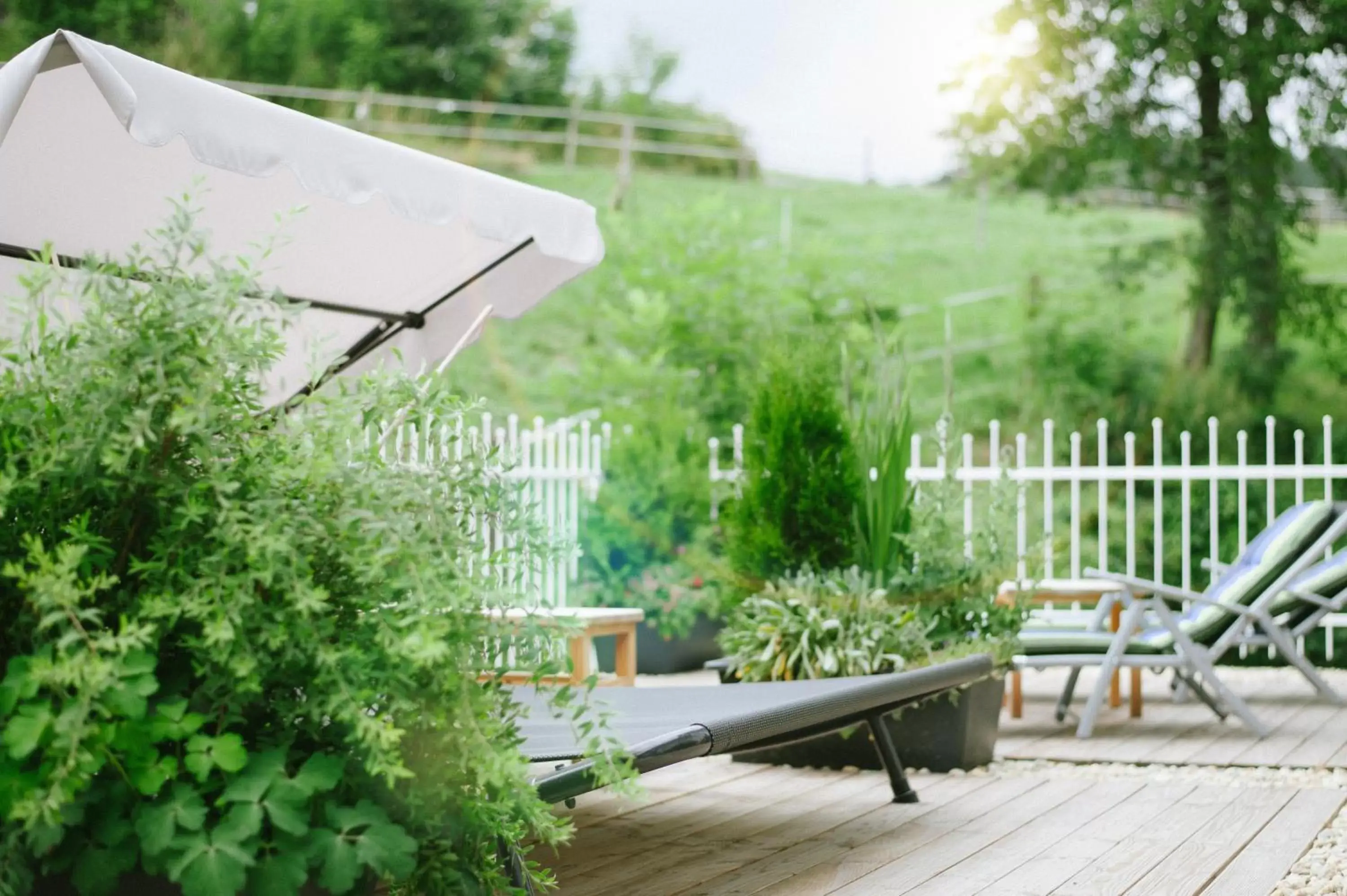 Balcony/Terrace, Swimming Pool in Das Reiners