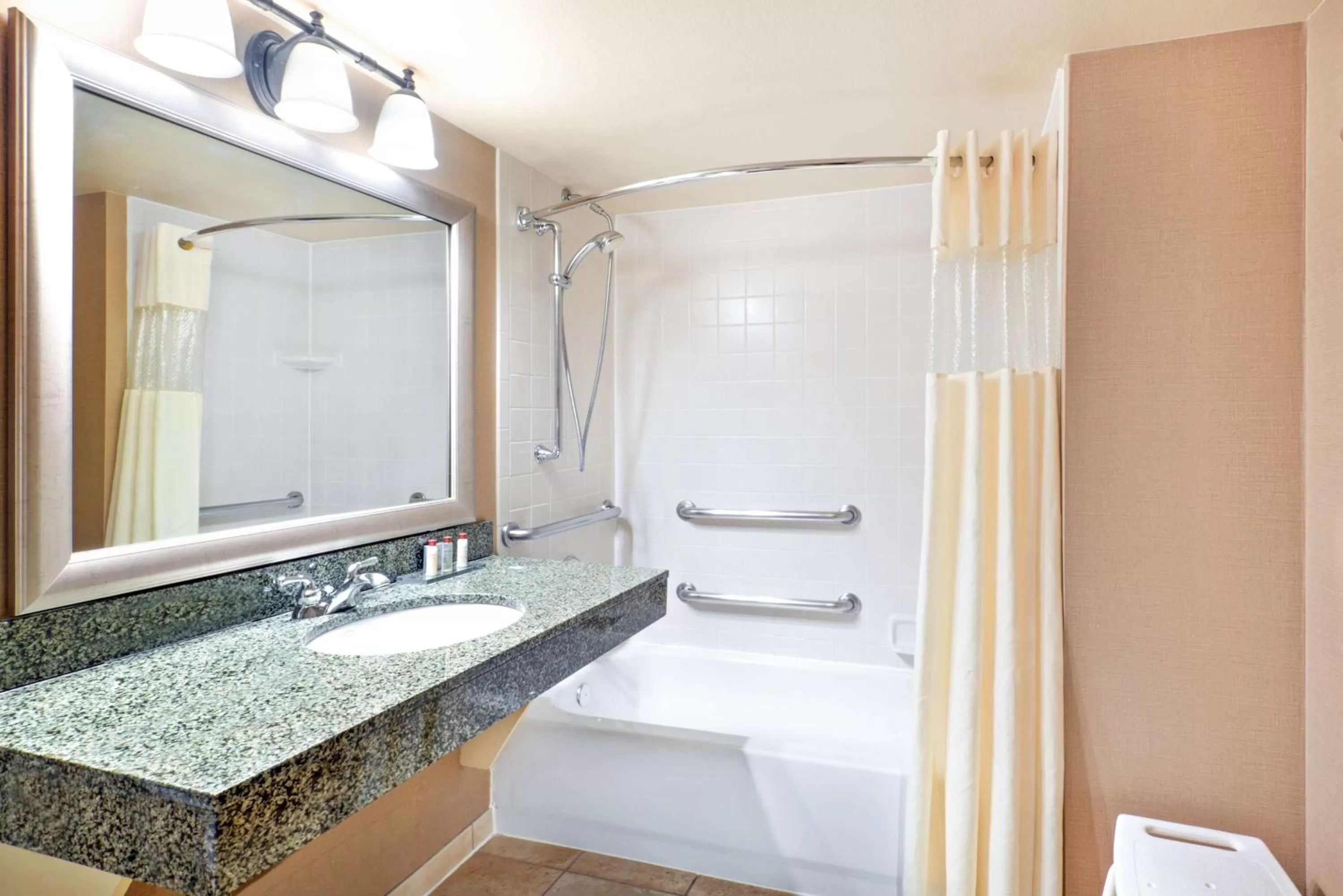 Deluxe King Room - Disability Access - Non-Smoking in Wingate by Wyndham Denver Tech Center