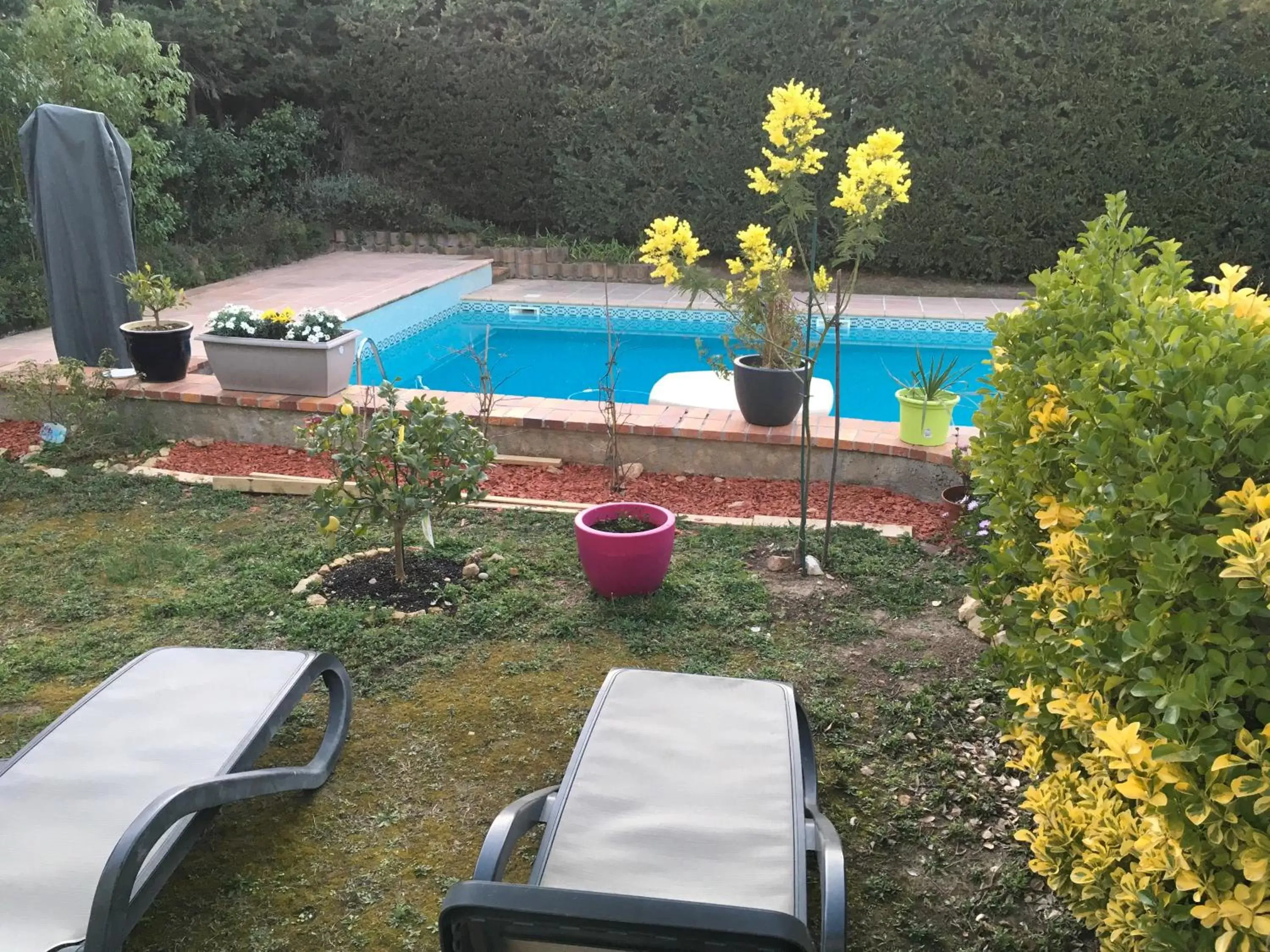 Garden, Swimming Pool in Villa Alessia