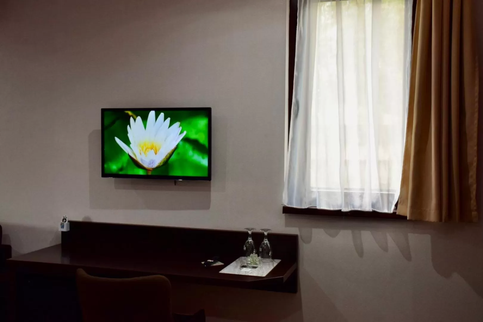 TV and multimedia in Hotel Lotus