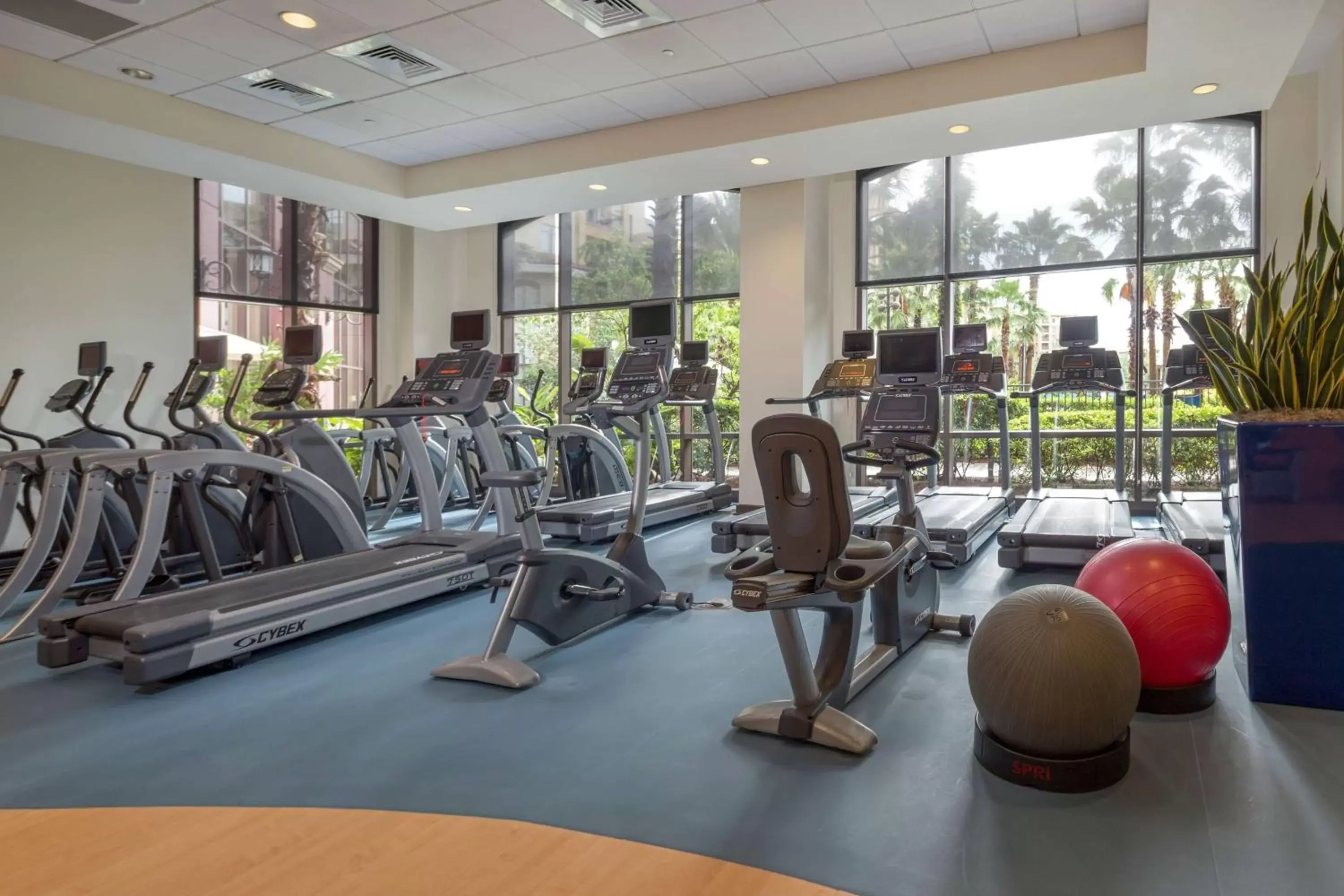 Other, Fitness Center/Facilities in Wyndham Grand Orlando Resort Bonnet Creek