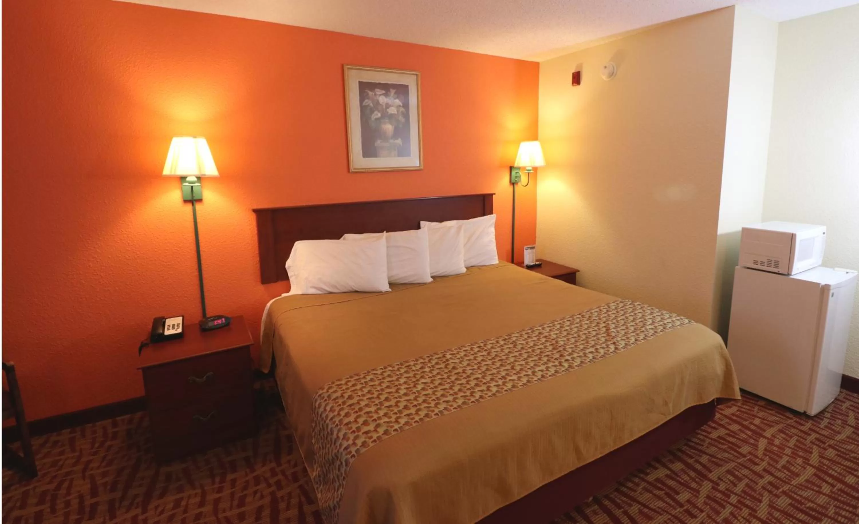 King Room - single occupancy - Disability Access/Non-Smoking in Jefferson Inn Dandridge