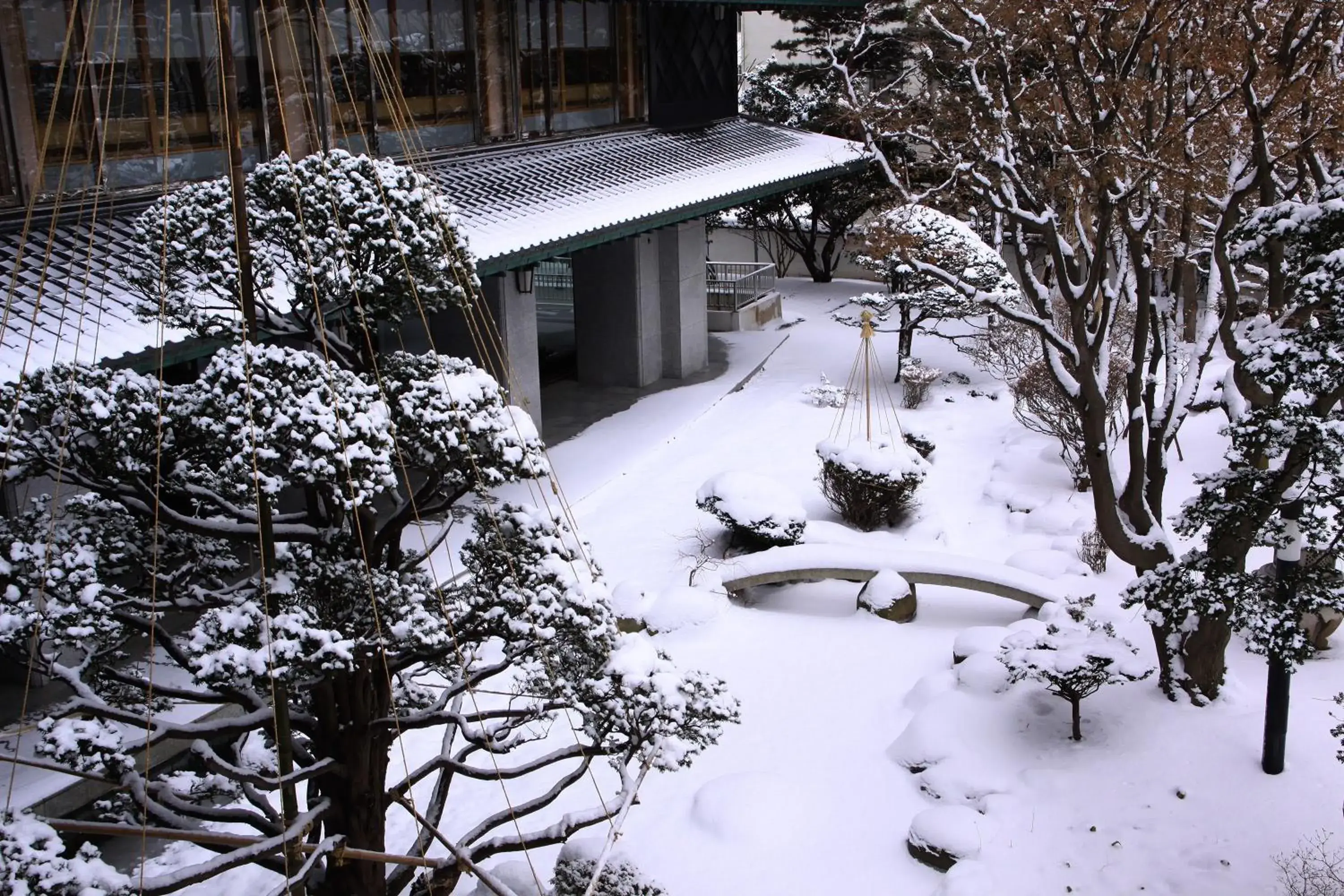 Winter in Bourou Noguchi Hakodate