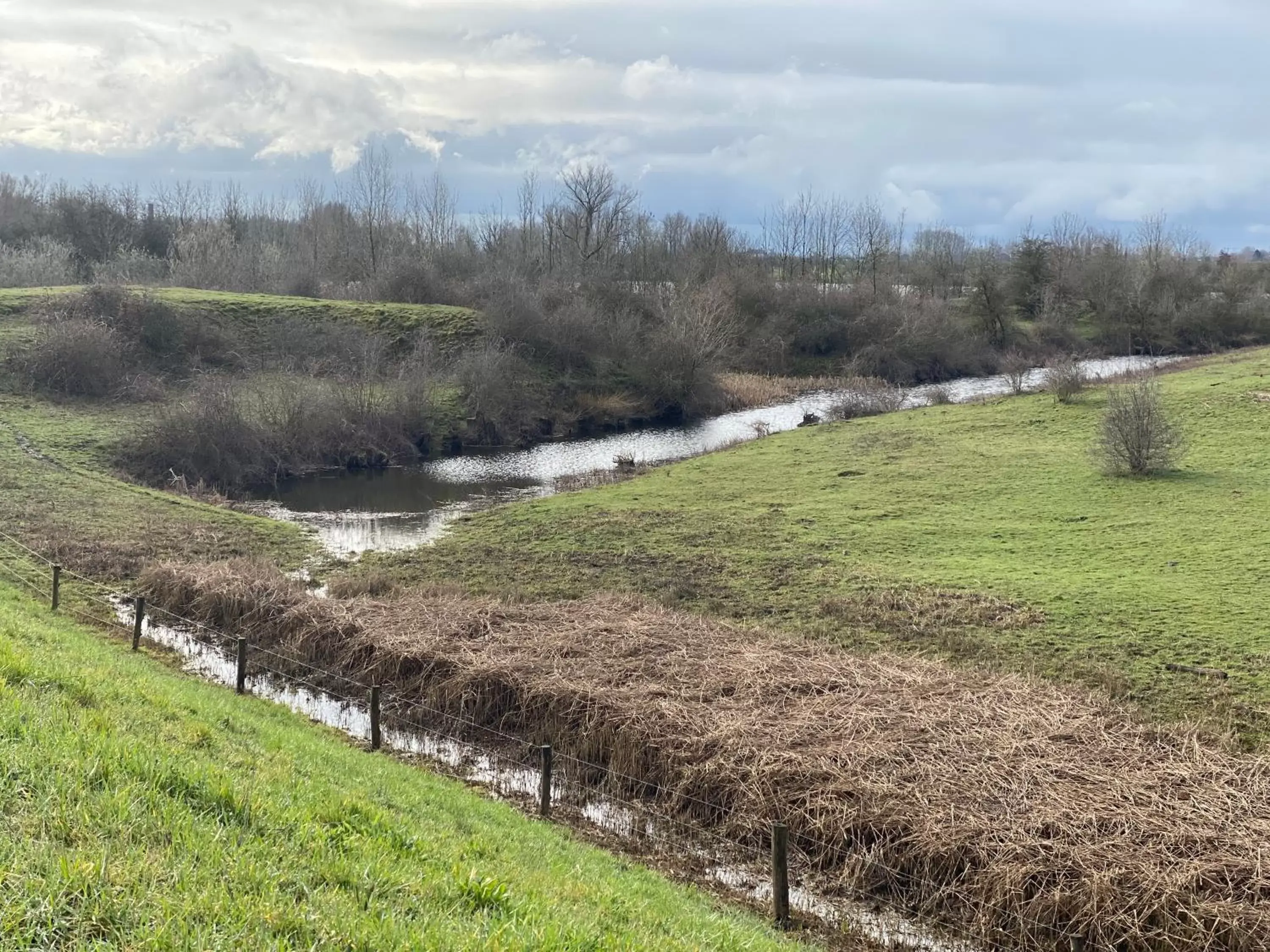 Natural landscape in Short Stay Wageningen