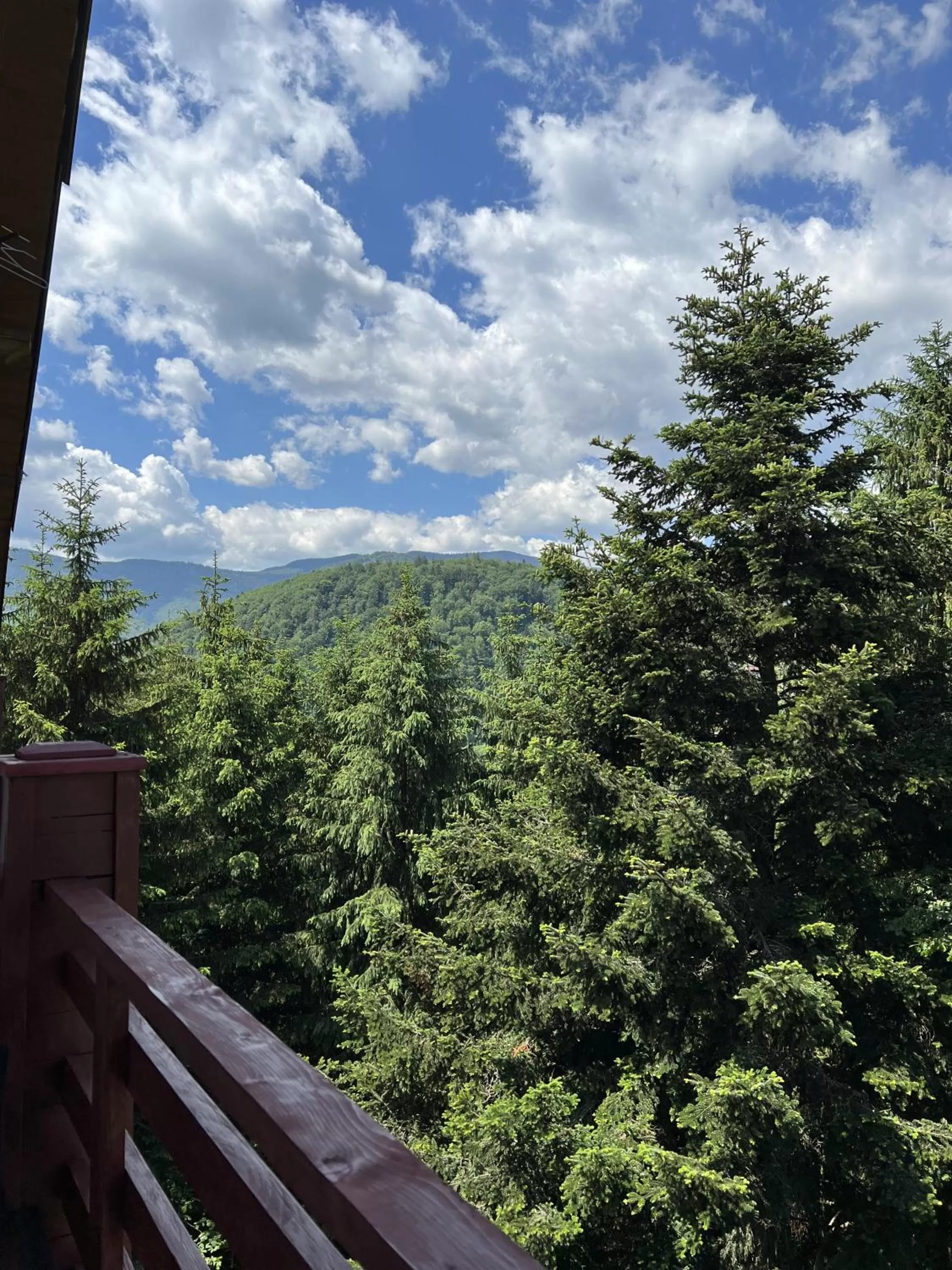 Day, Mountain View in Wellland Hotel