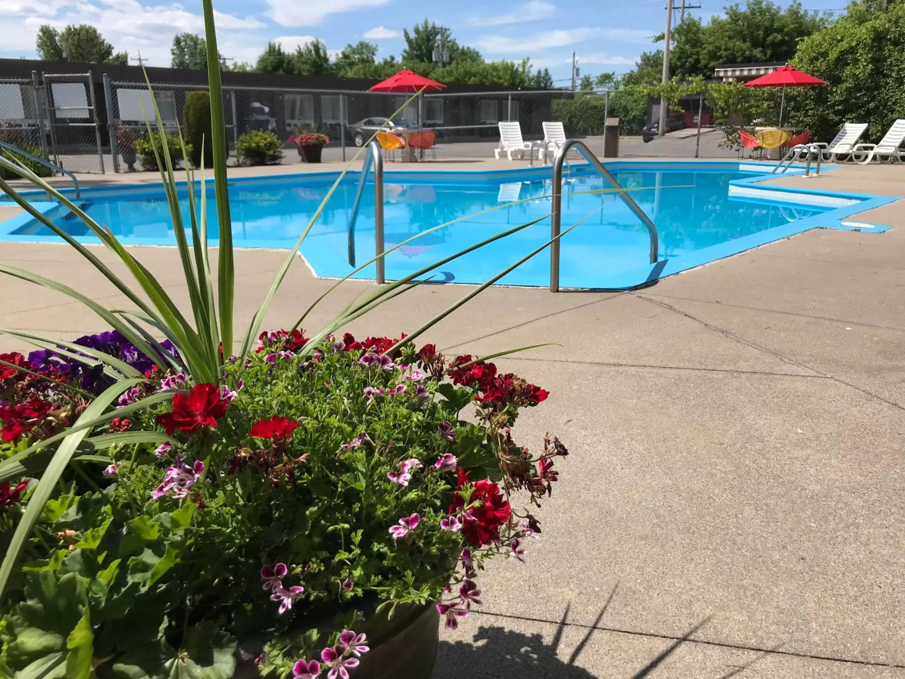 Swimming Pool in Motel Adam