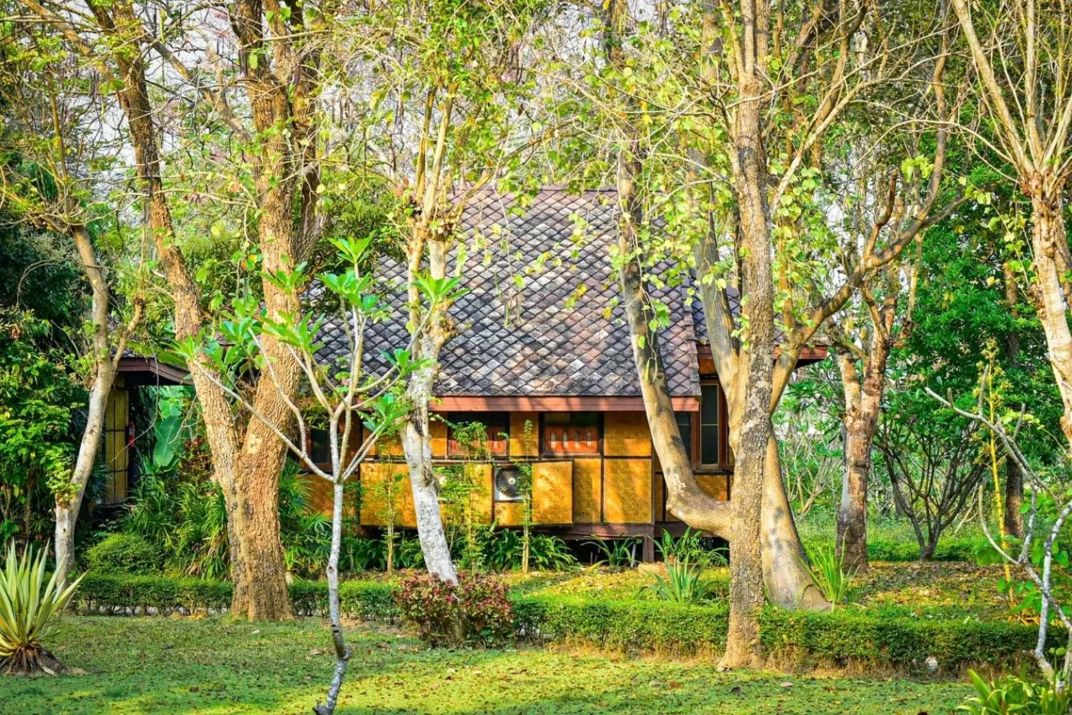 Natural landscape in Baan Krating Pai Resort - SHA Plus