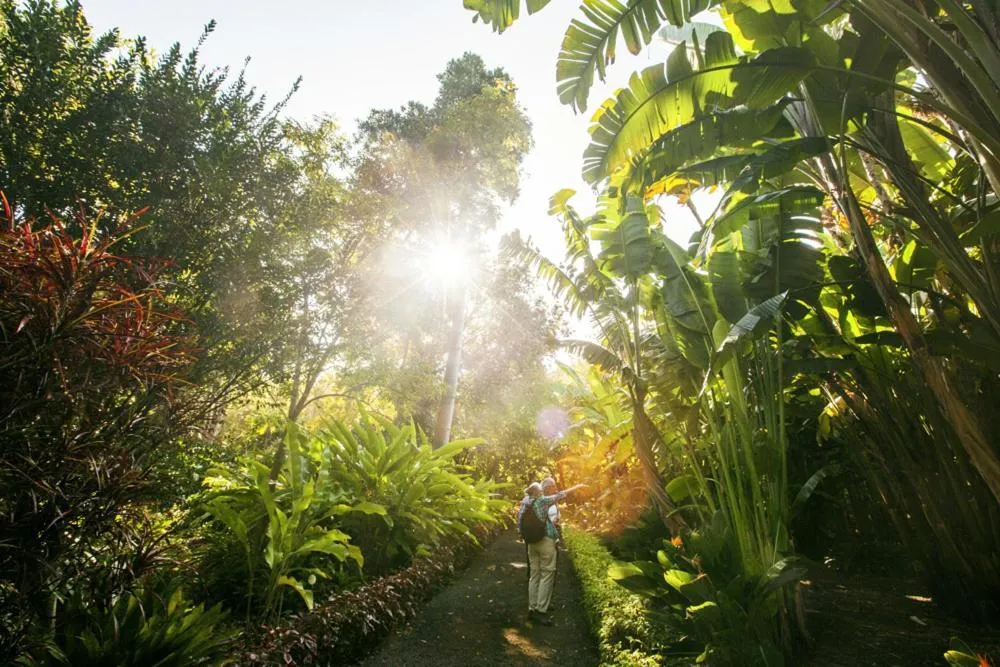 Activities in Checkin Concordia Playa