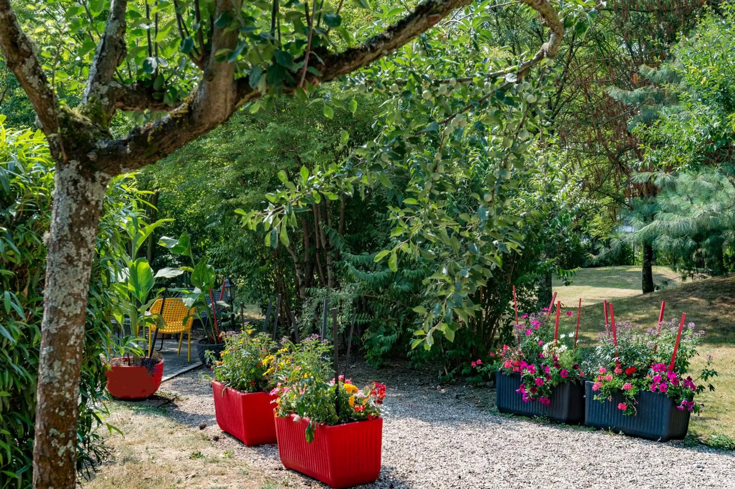 Garden in ibis Metz Nord