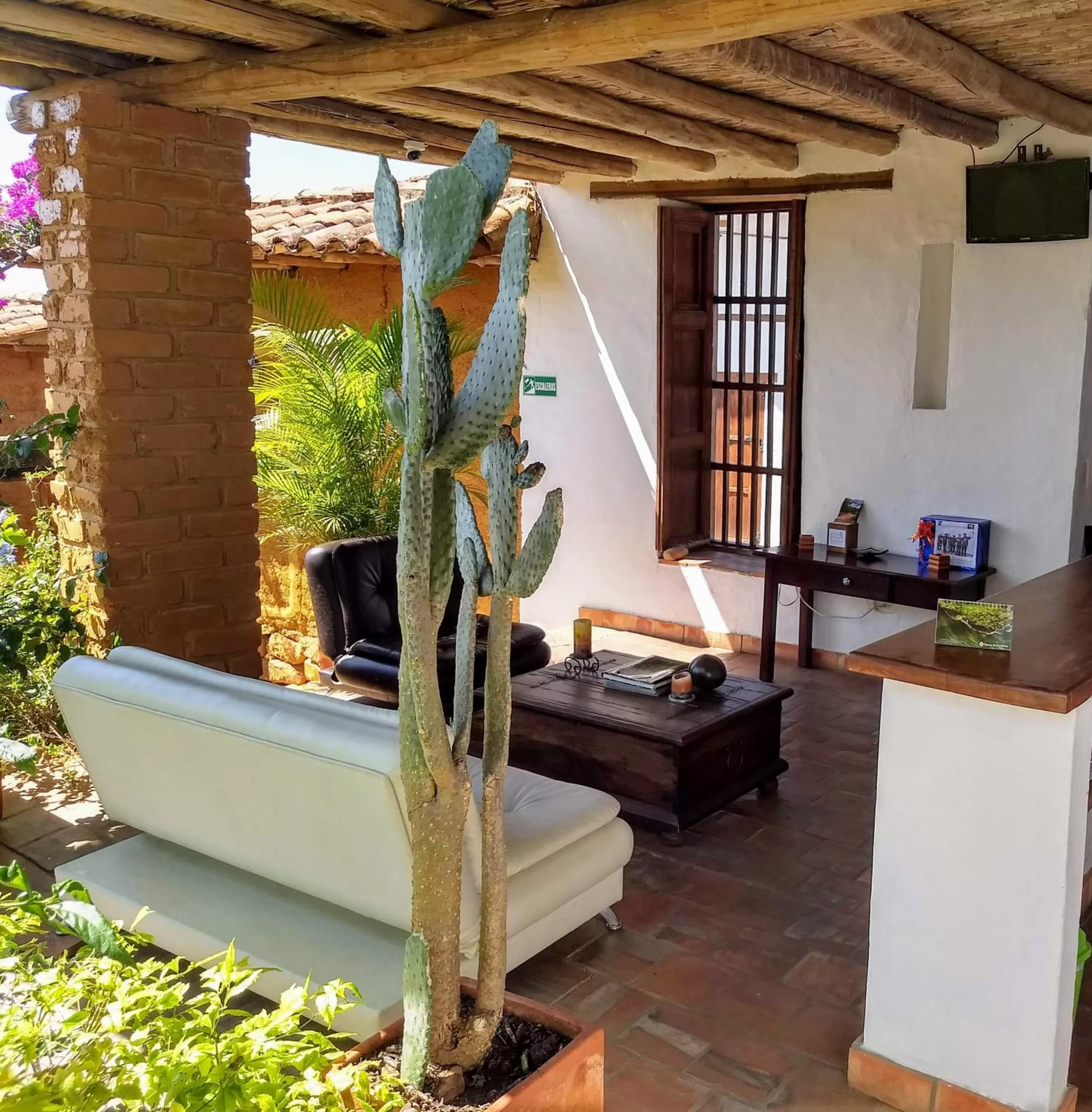 Living room in Achiotte by Masaya Collection