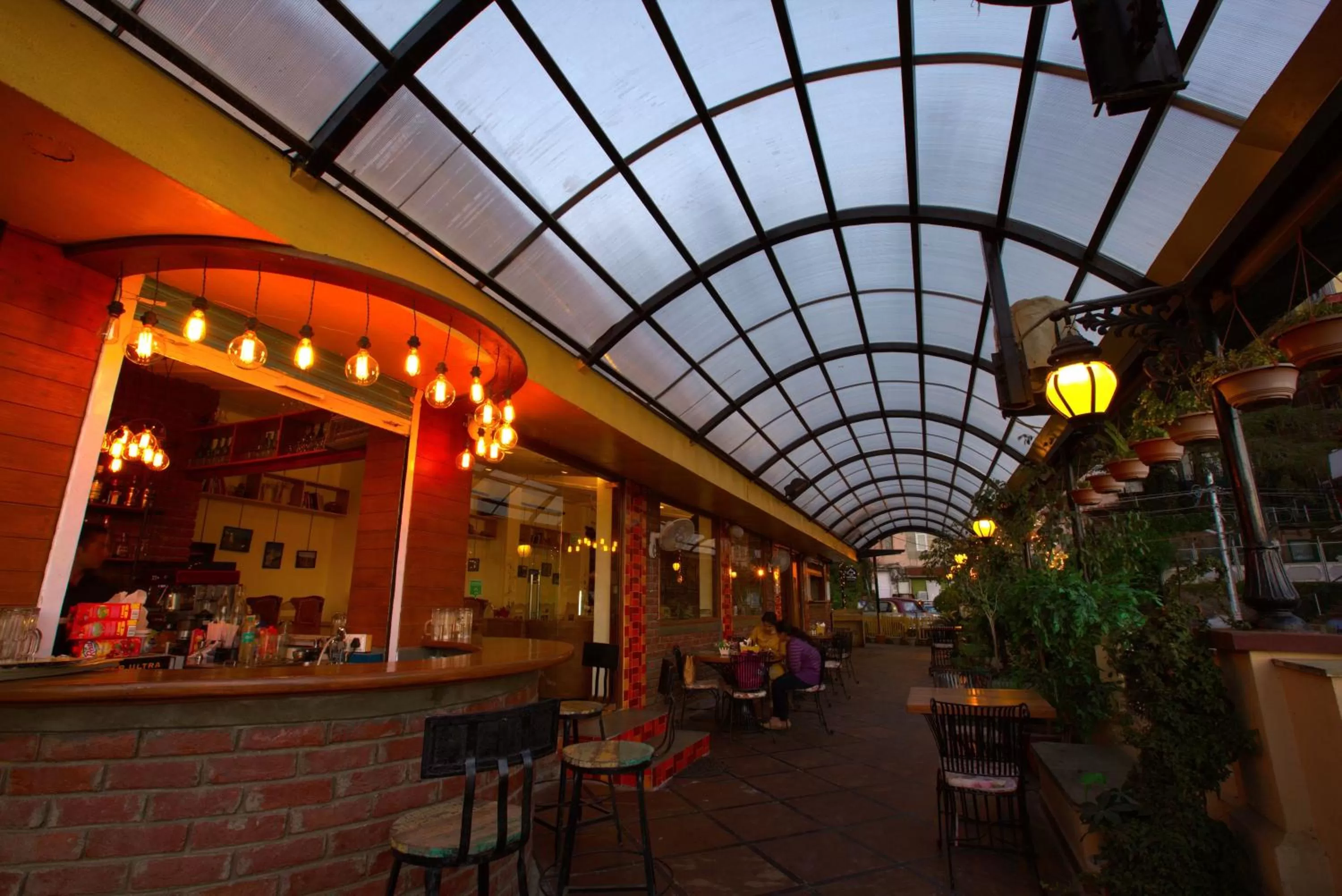 Restaurant/places to eat in Hotel Willow Banks Shimla