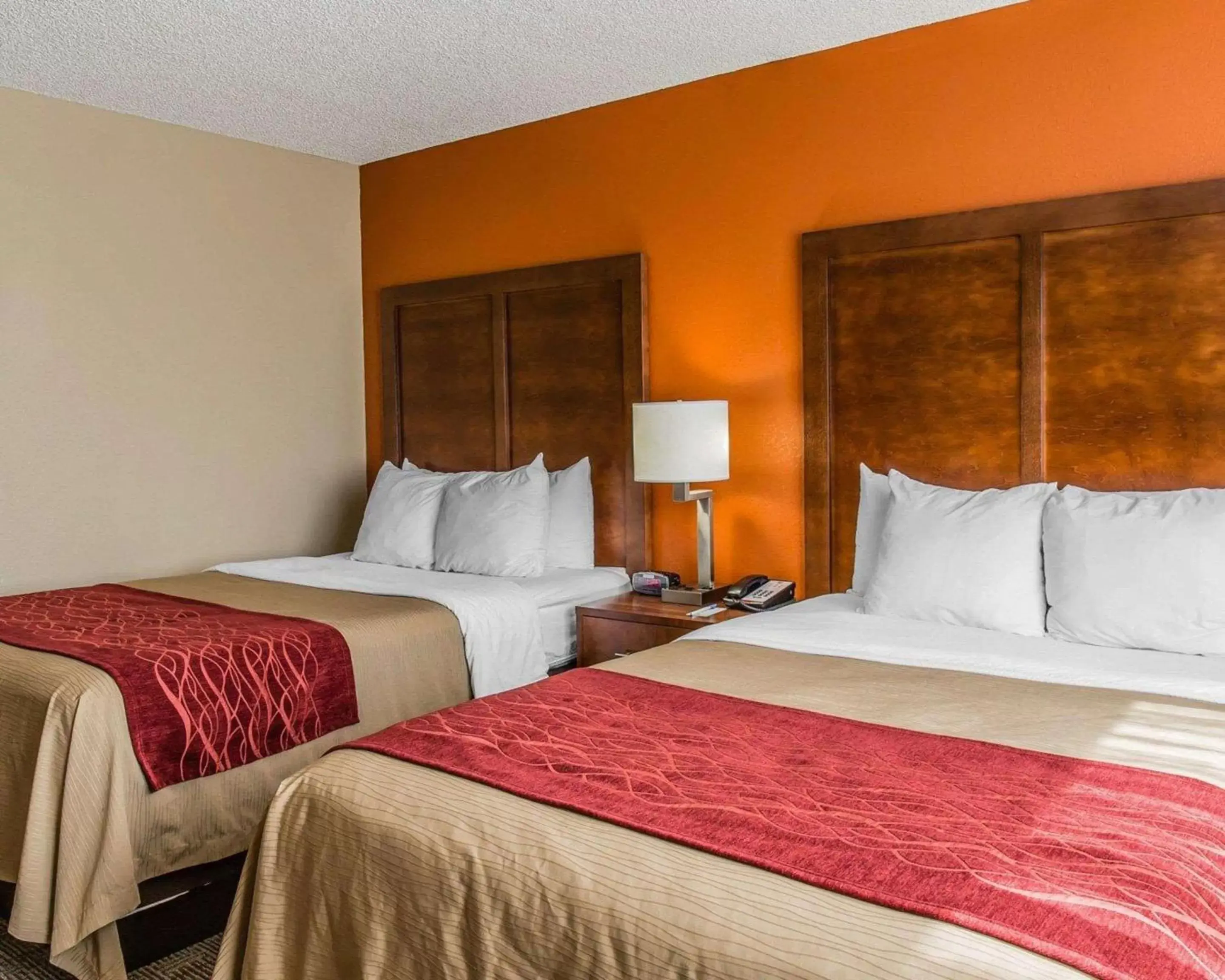 Photo of the whole room, Bed in Comfort Inn & Suites Lakeland North I-4
