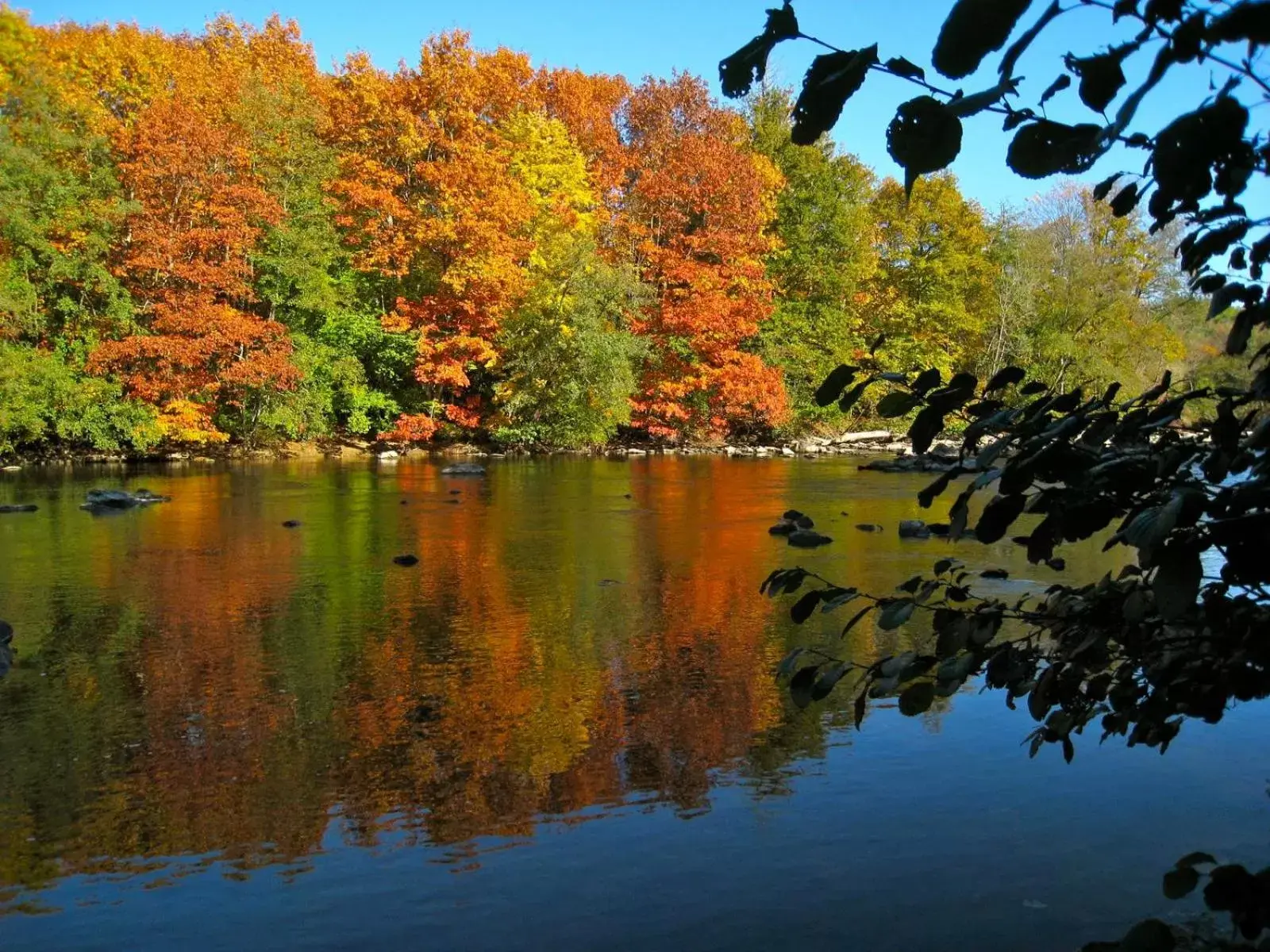 Natural landscape in L'Élassier