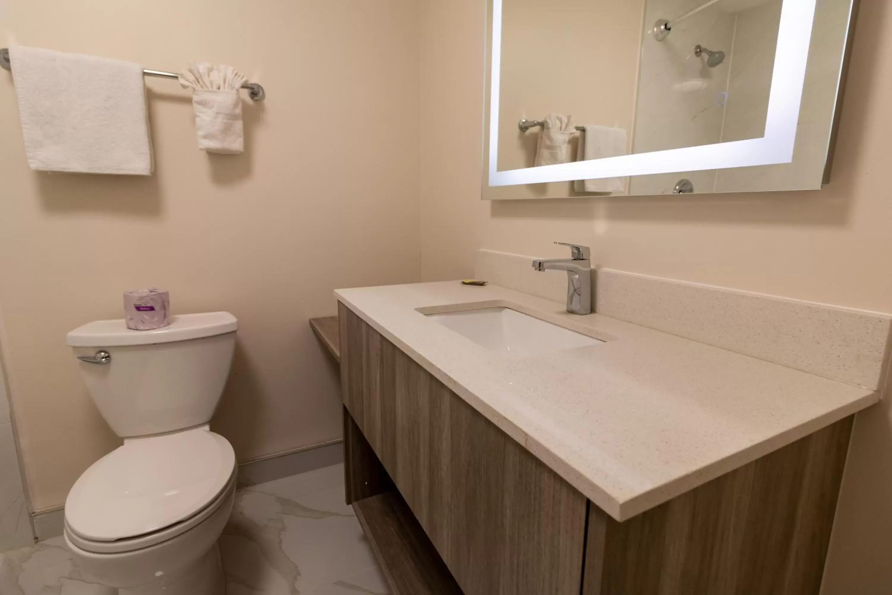 Bathroom in Borden Inn and Suites