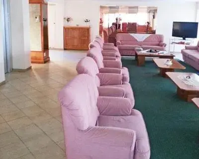 Communal lounge/ TV room, Seating Area in Hotel Glenn