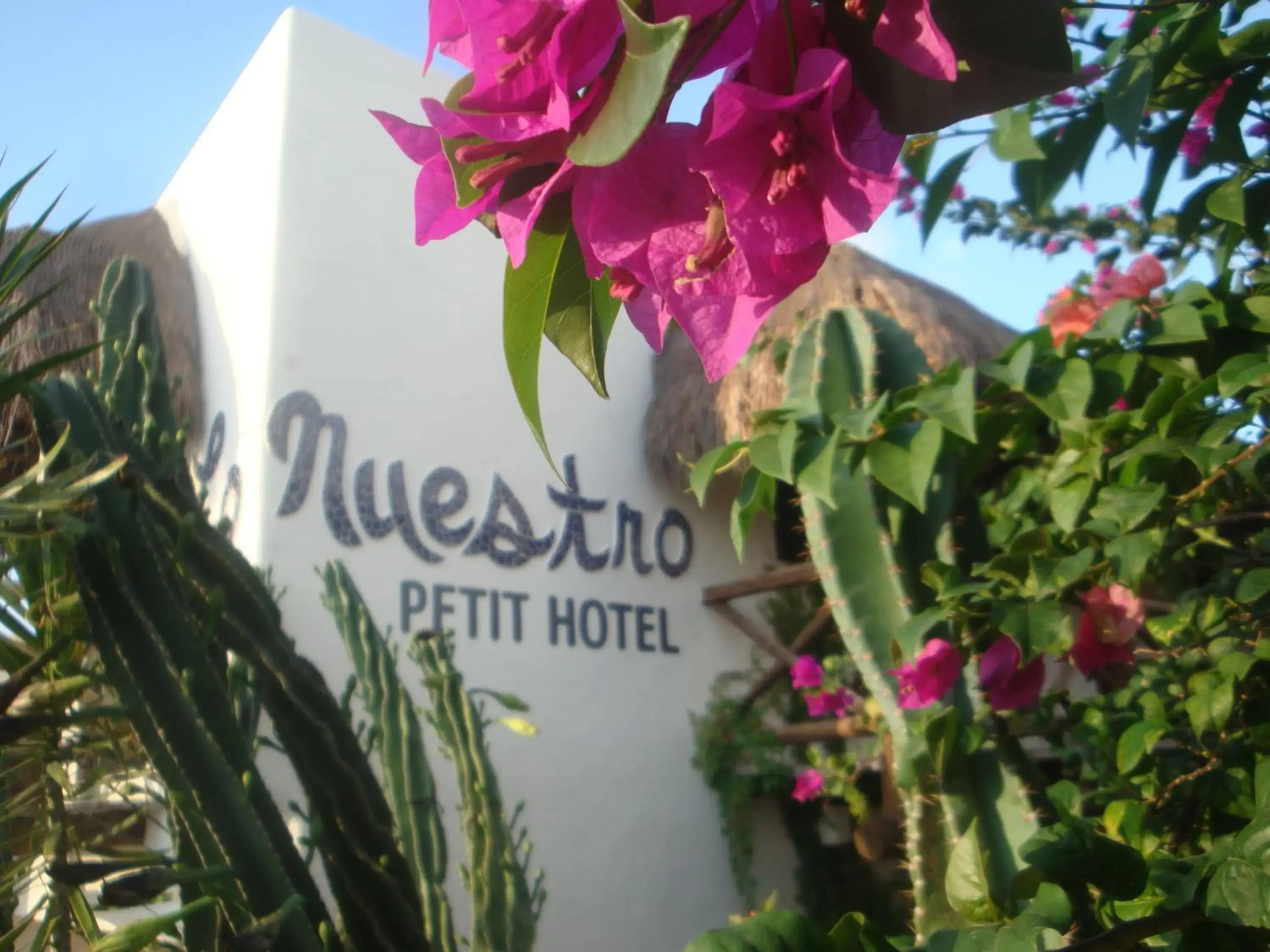 Lobby or reception, Property Logo/Sign in Lo Nuestro Petit Hotel Tulum