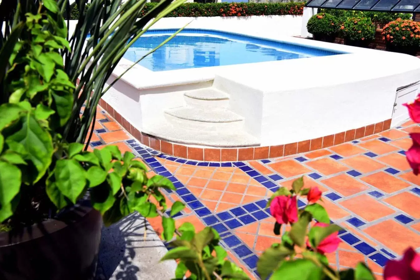 Garden, Swimming Pool in Hotel Eloisa