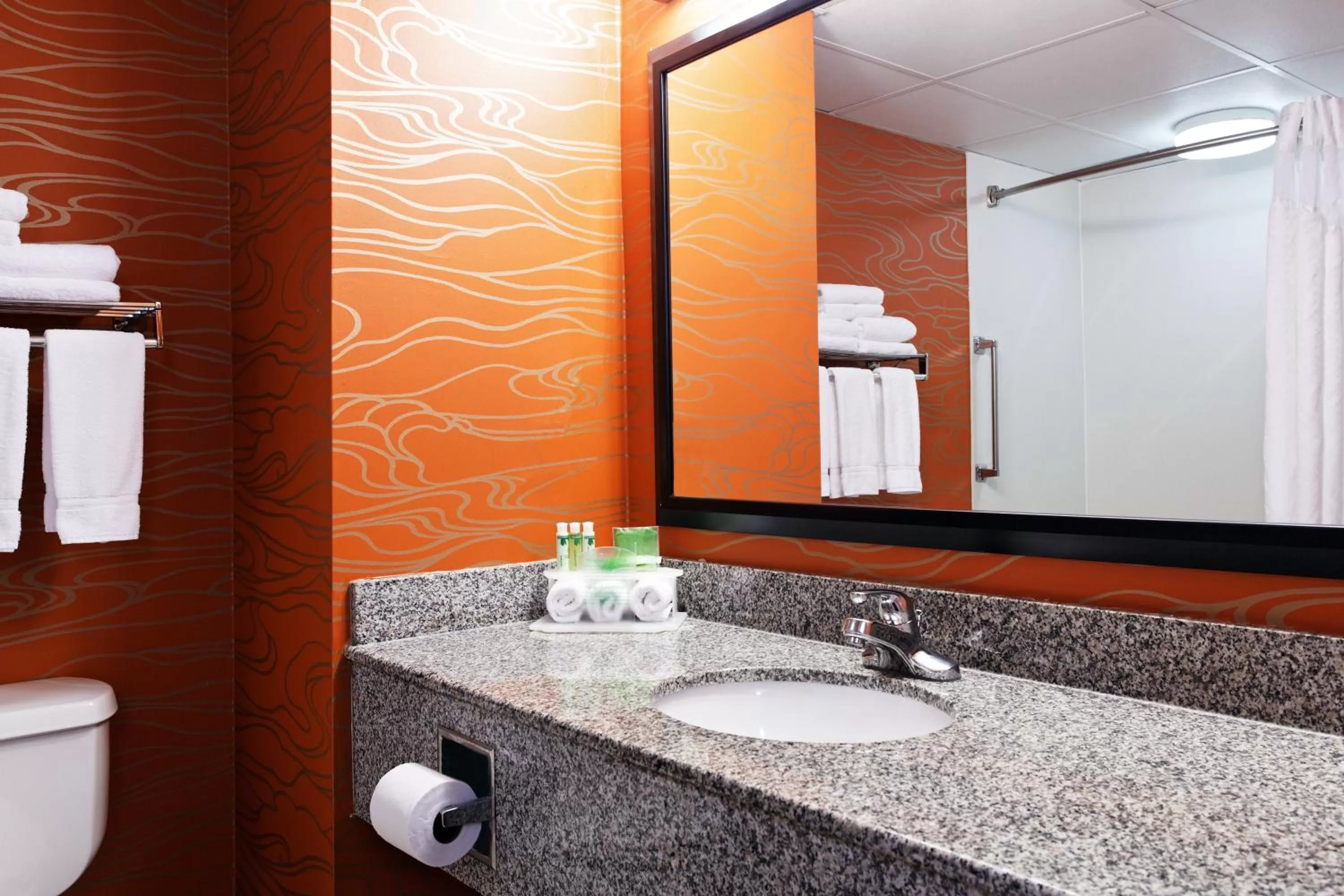 Bathroom in Holiday Inn Express Richmond-Brandermill-Hull Street by IHG