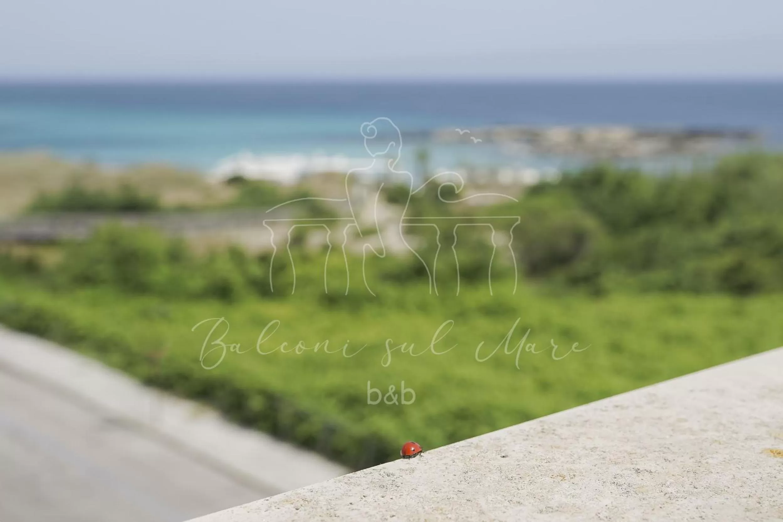 Day in Balconi sul mare