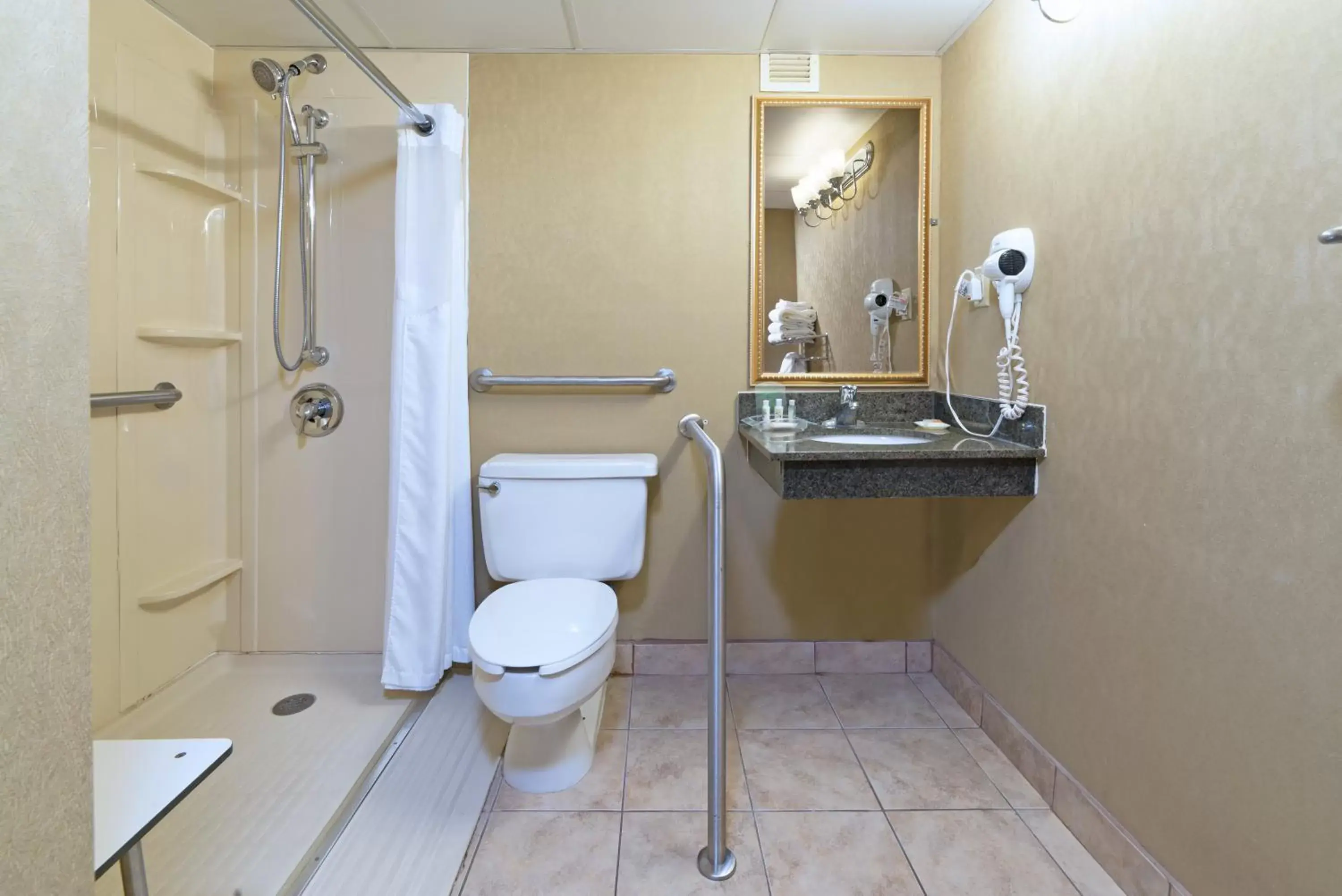 Photo of the whole room, Bathroom in Wyndham Garden Totowa