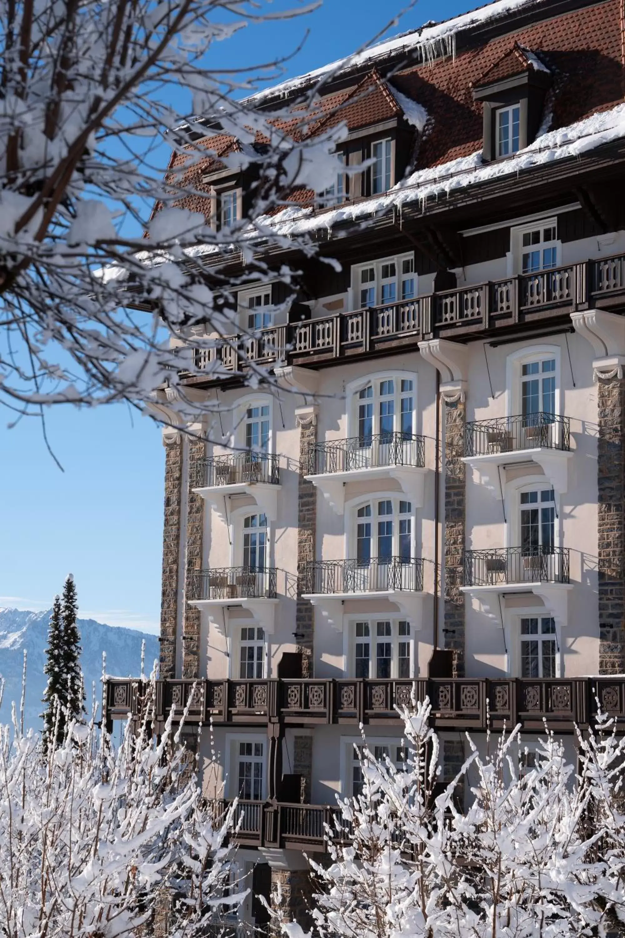 Property building, Winter in Villars Palace