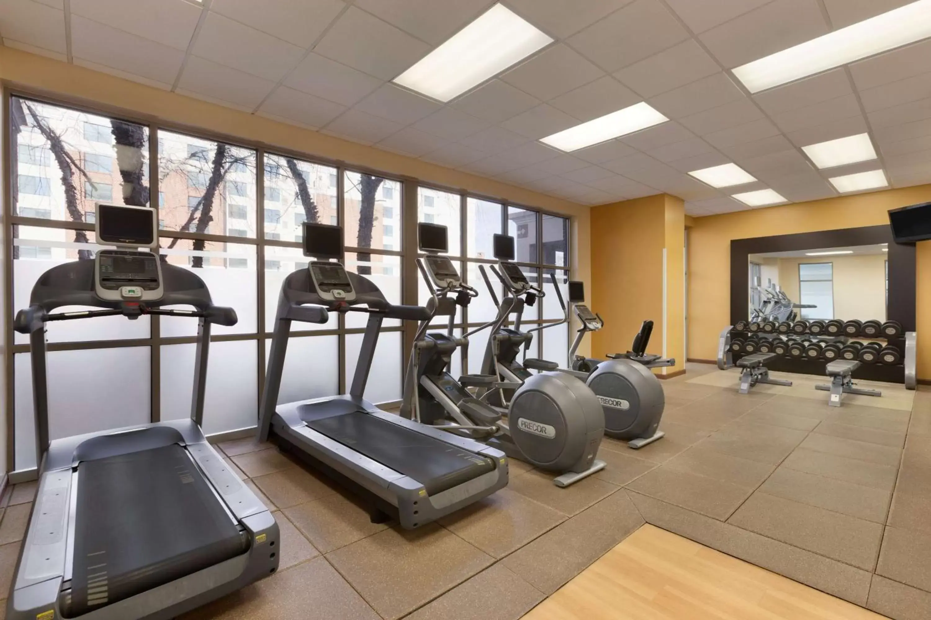 Fitness centre/facilities, Fitness Center/Facilities in Embassy Suites Newark - Wilmington/South