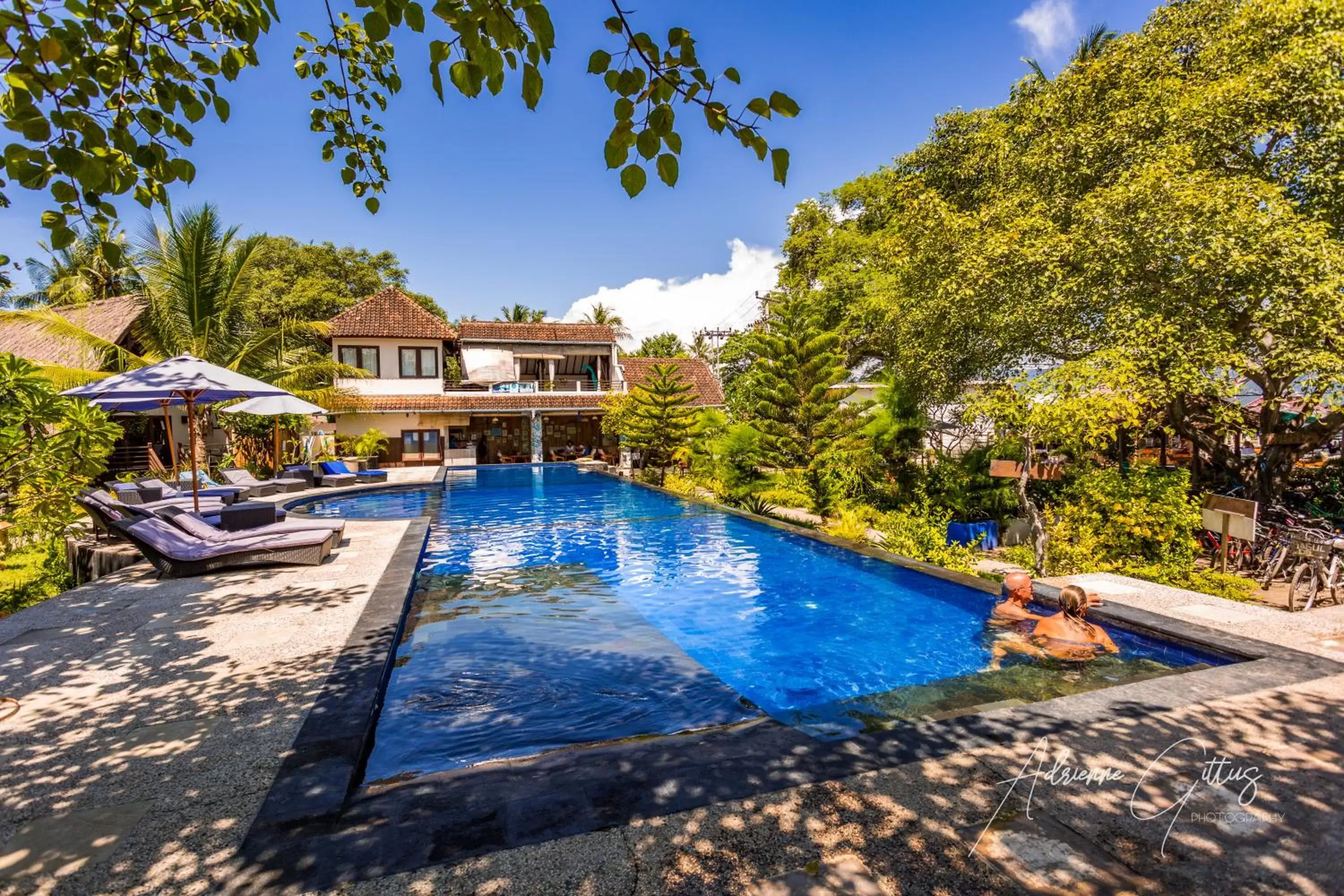 Swimming Pool in Oceans 5 Dive Resort