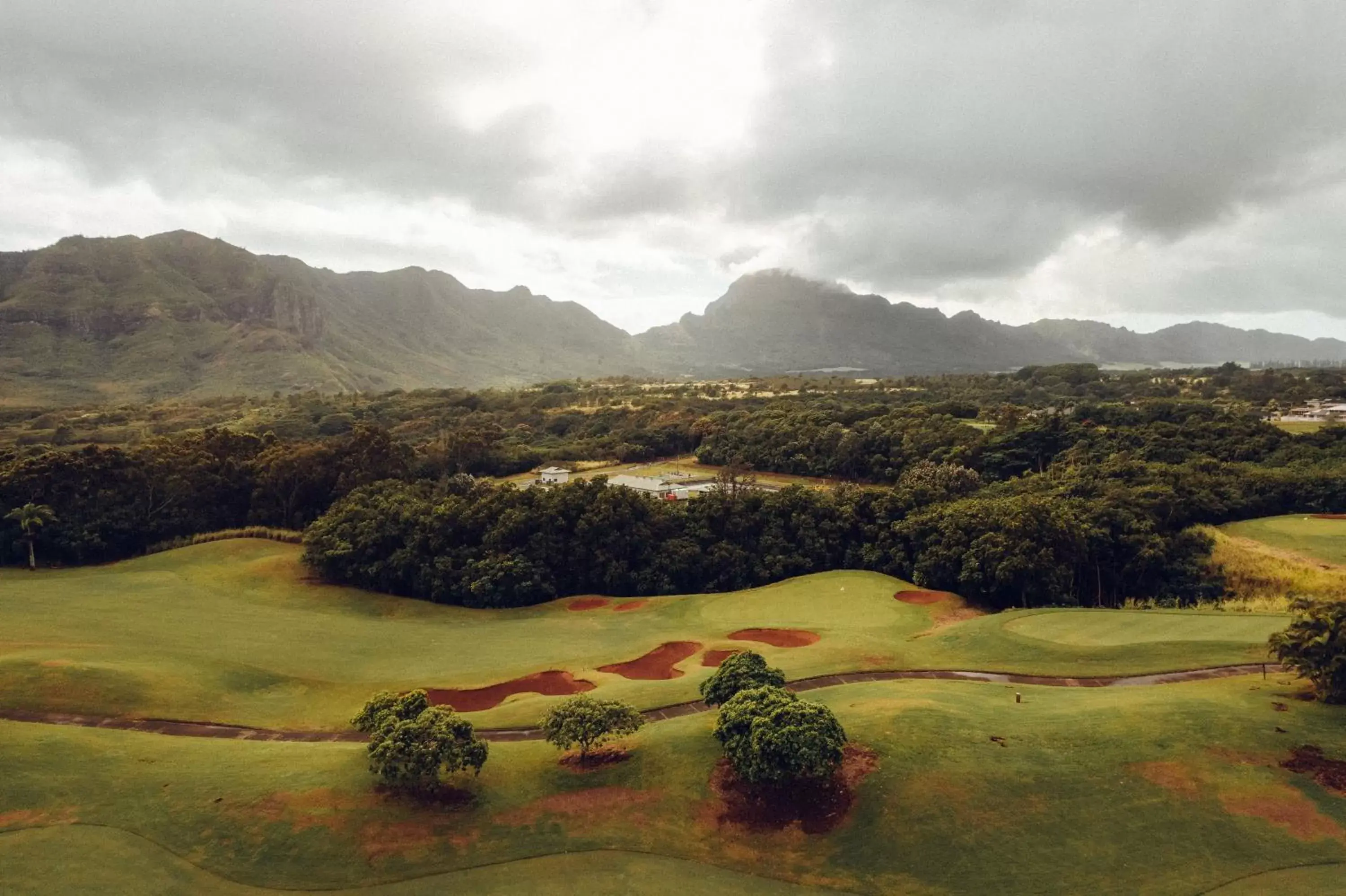 Natural landscape in Banyan Harbor Resort