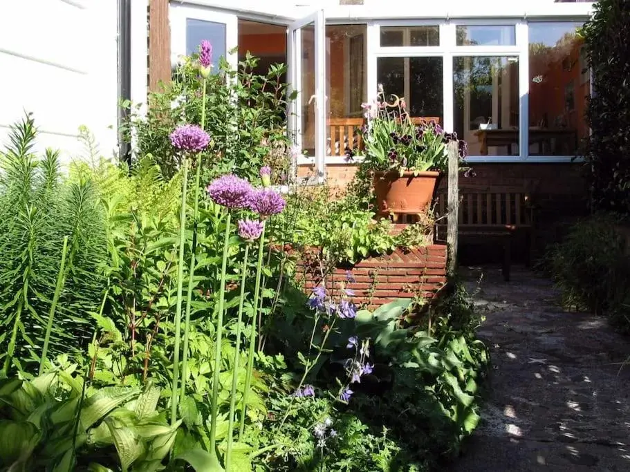 Garden in Comfortable rooms