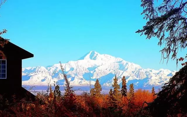 Day in Grace and Bill's Freedom Hills B&B