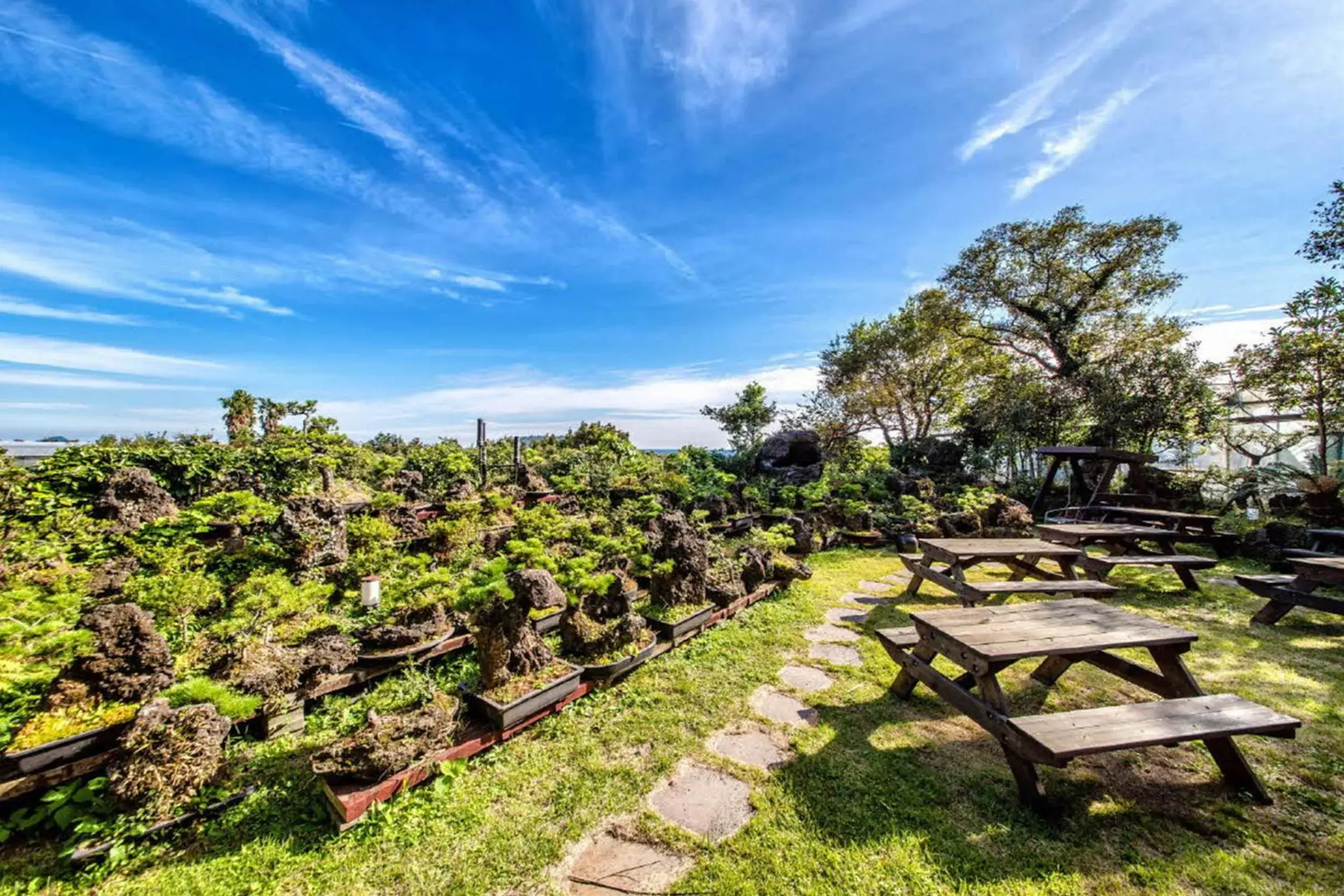 Natural landscape in Olleyo Resort