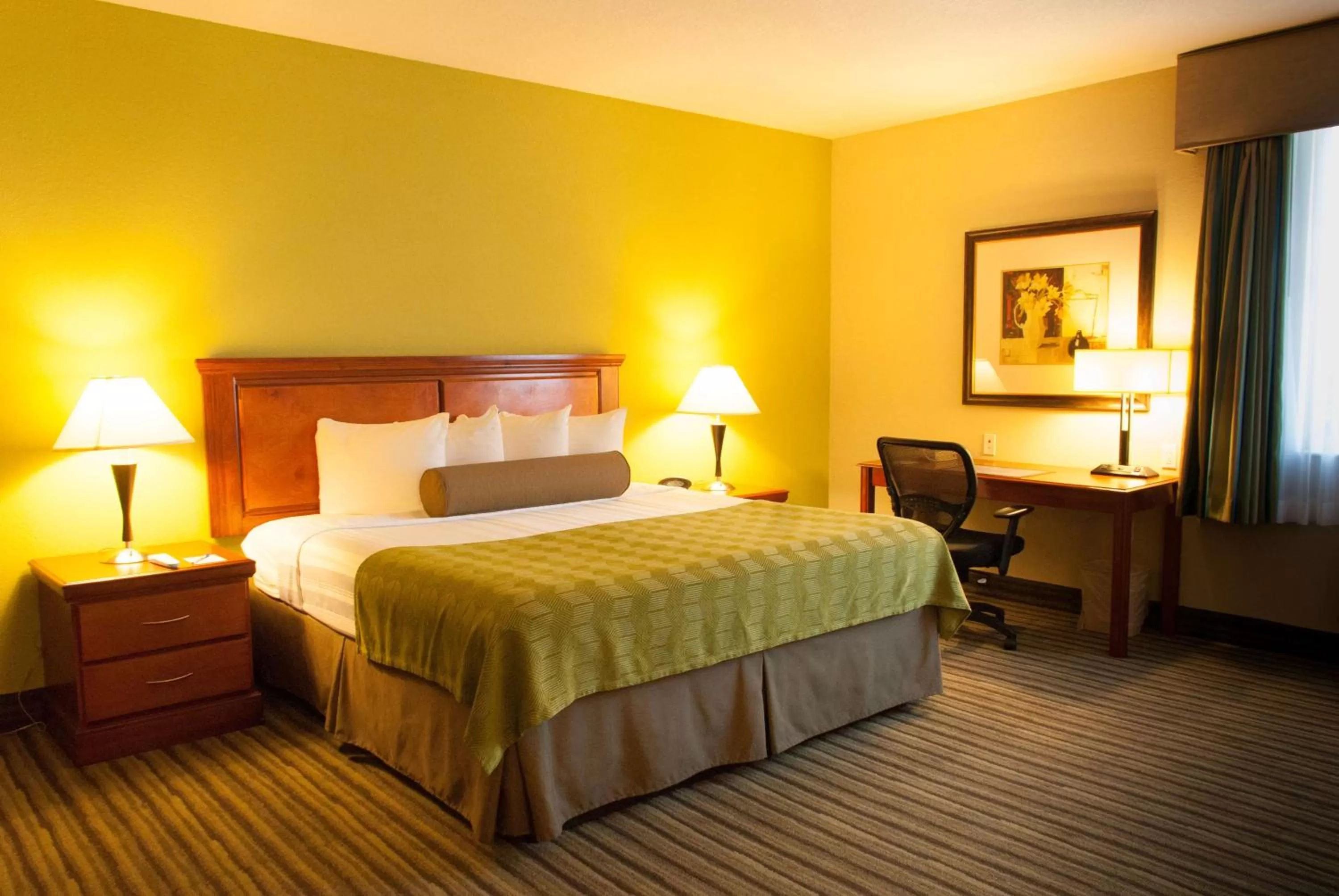 Photo of the whole room, Bed in Best Western Plus Miami-Doral/Dolphin Mall