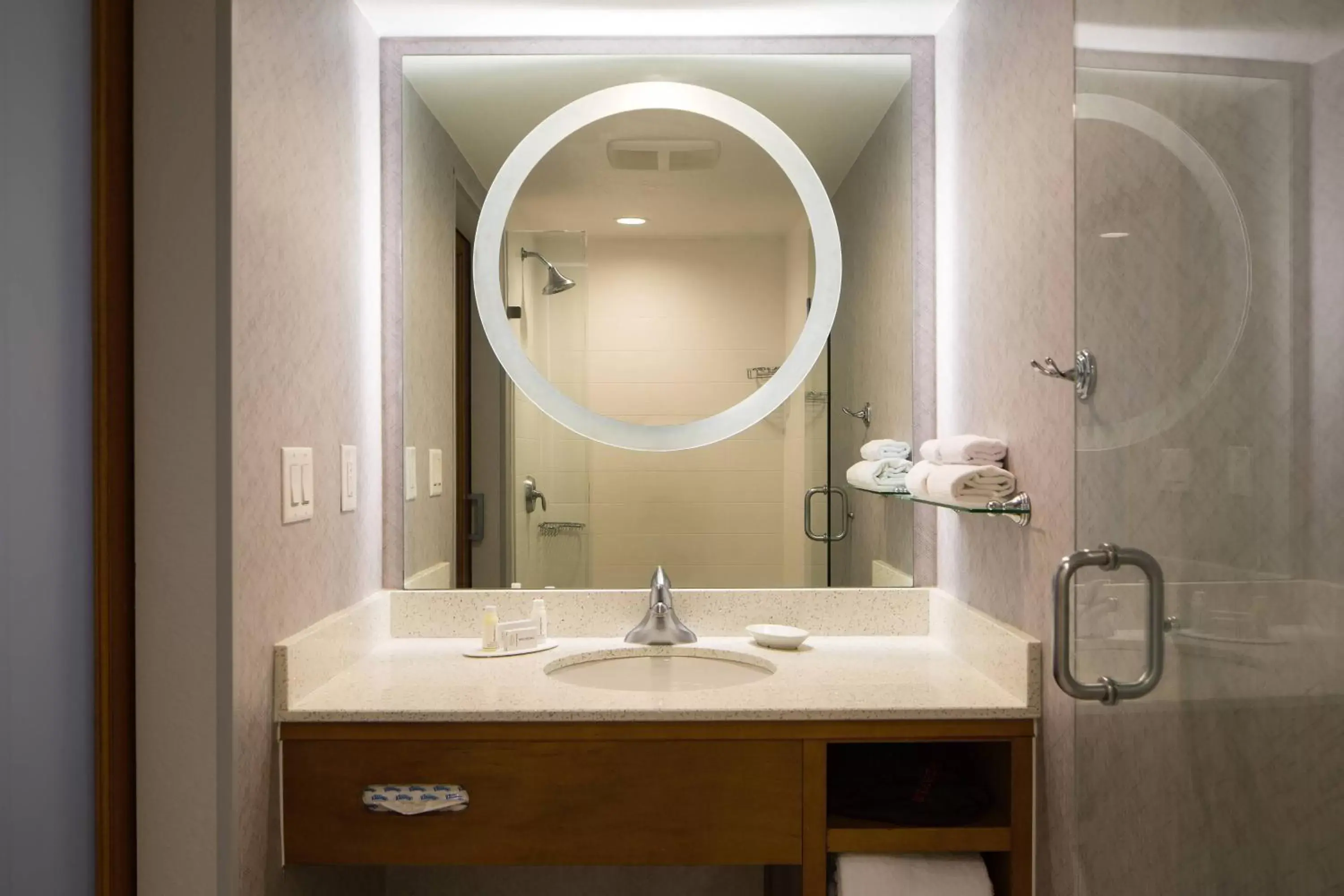 Bathroom in SpringHill Suites Miami Downtown/Medical Center