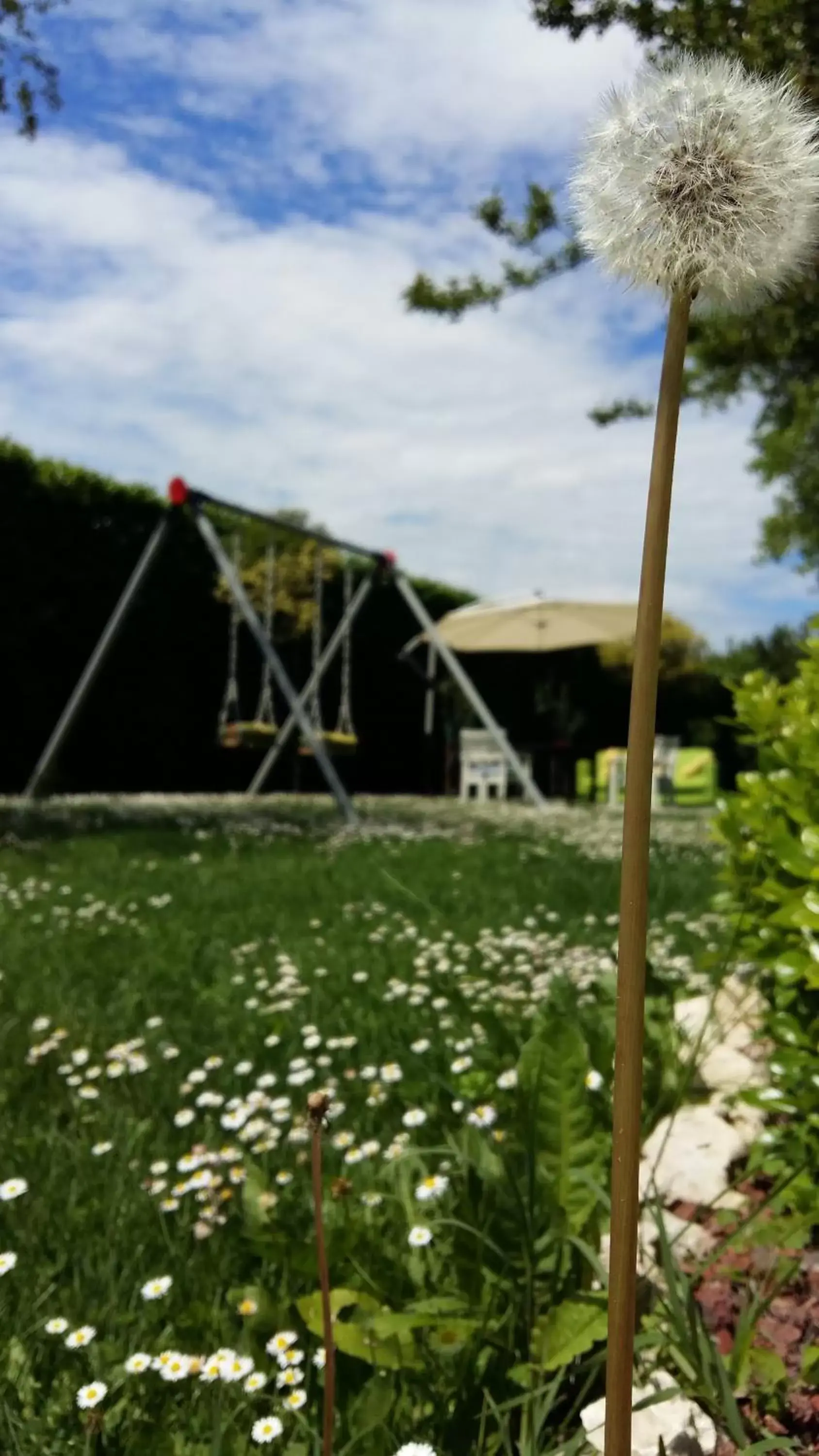 Garden in La Casa di Linda