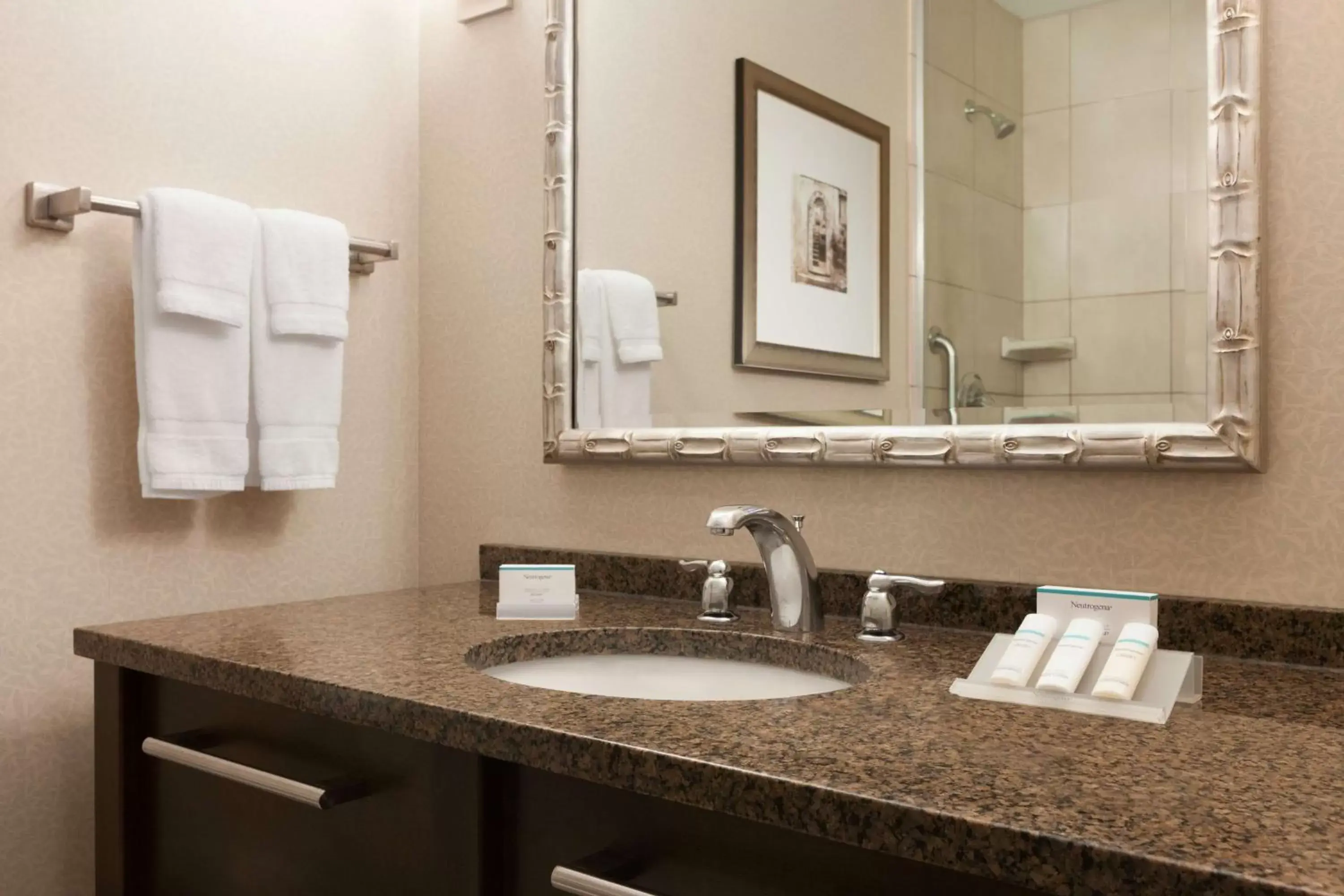 Bathroom in Hilton Garden Inn Dulles North