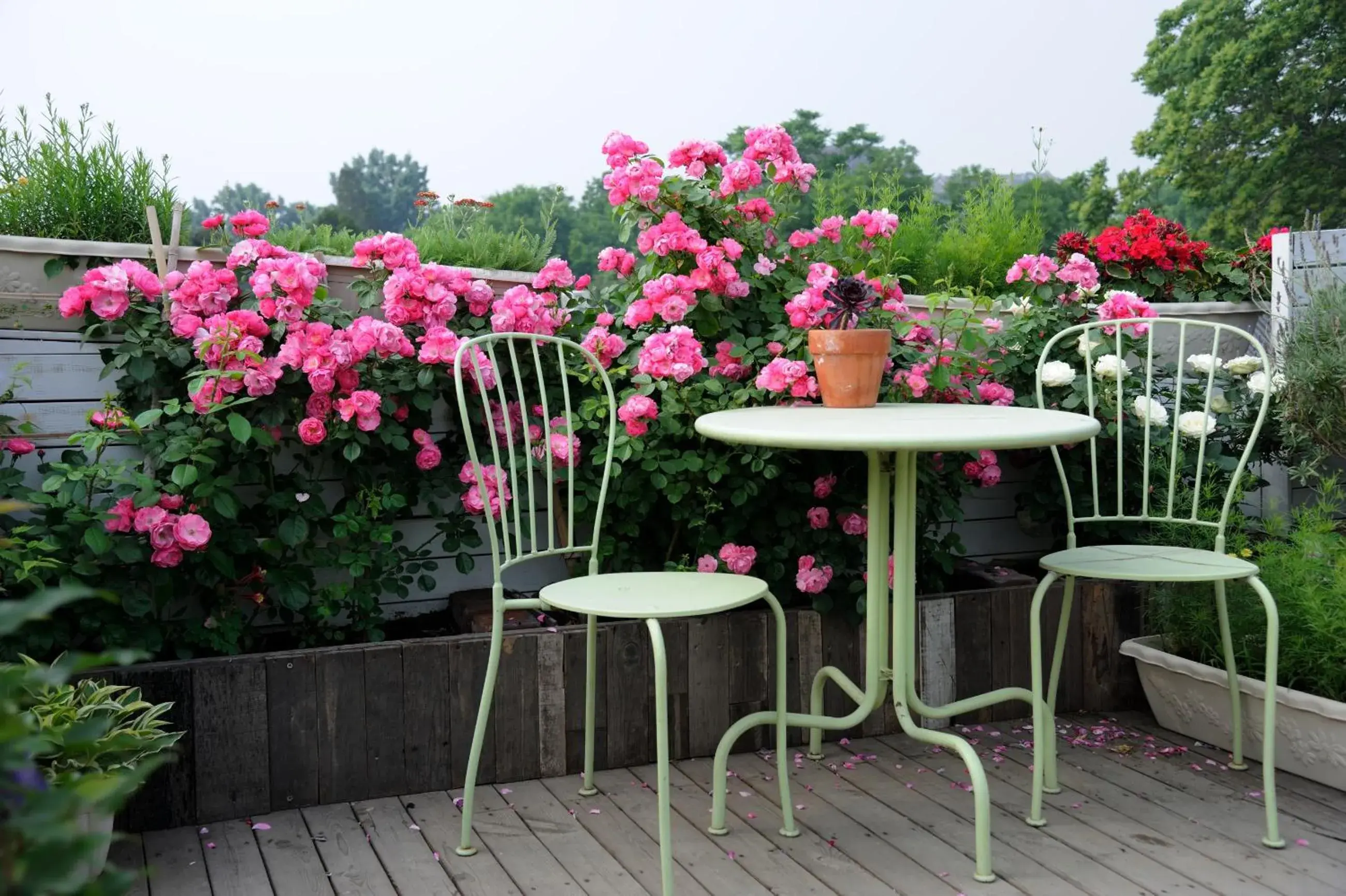 Lounge or bar in Peking International Youth Hostel