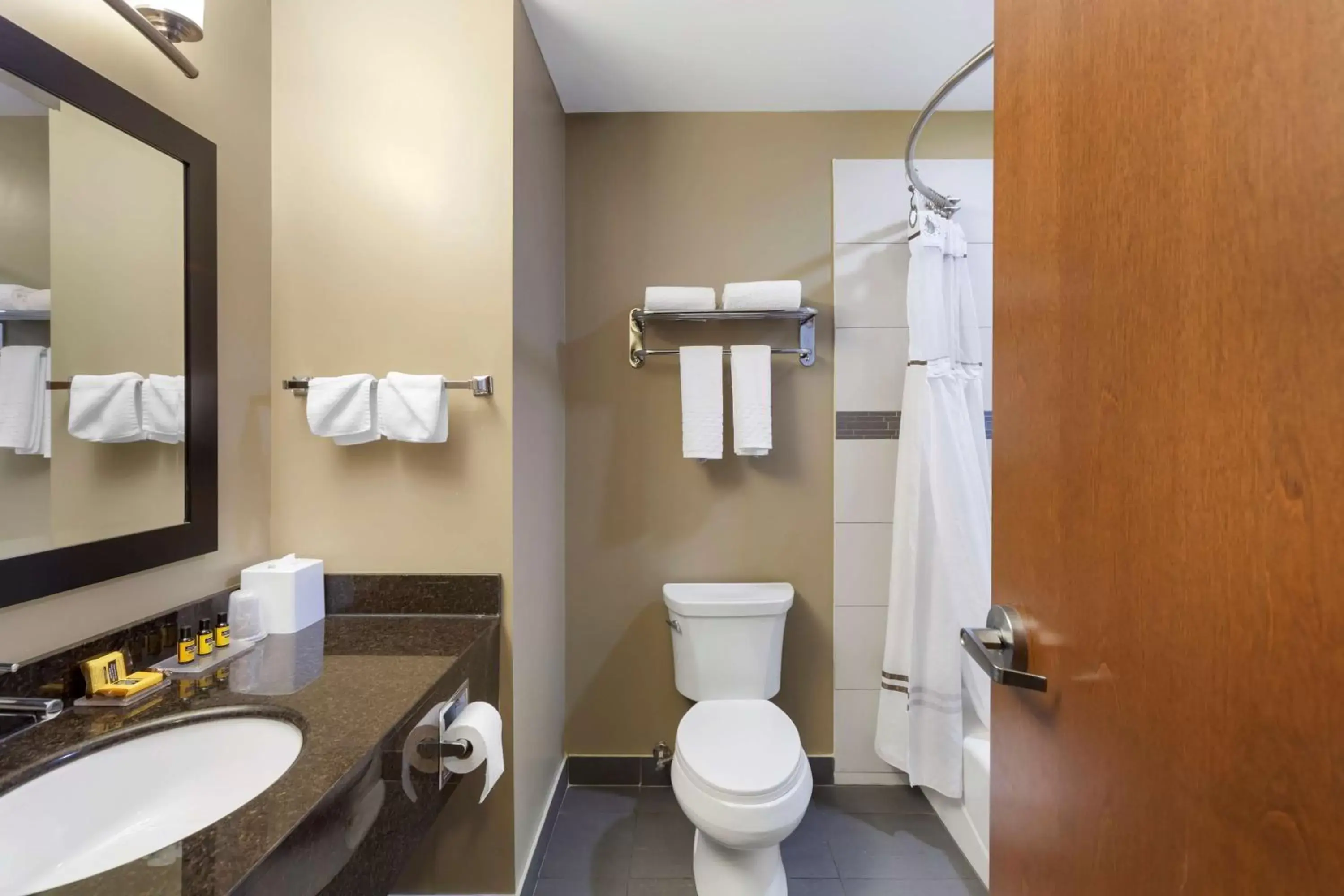 Bathroom in Best Western PLUS Fort Saskatchewan Inn & Suites