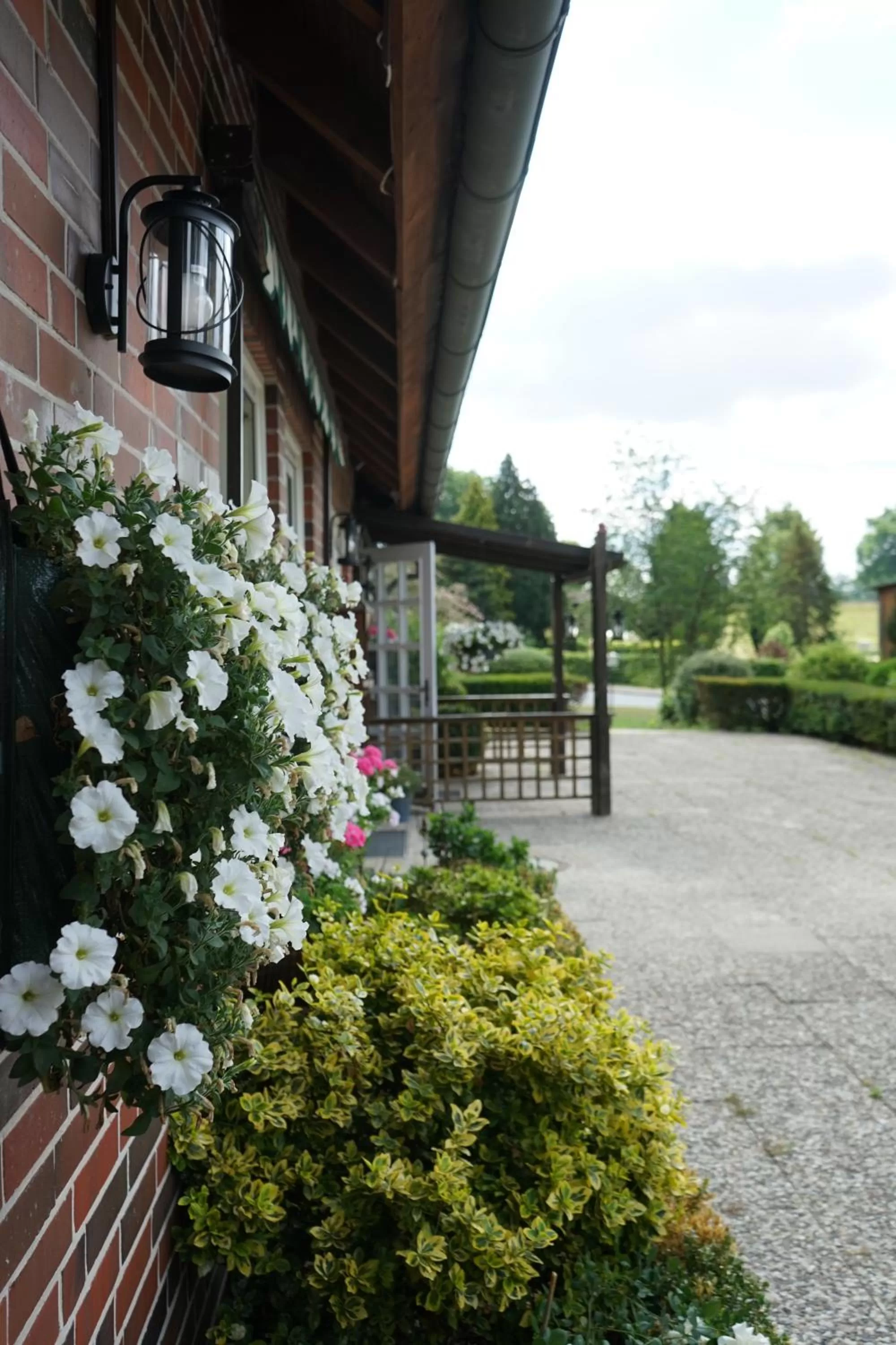 Balcony/Terrace in Niedersachsen Hof