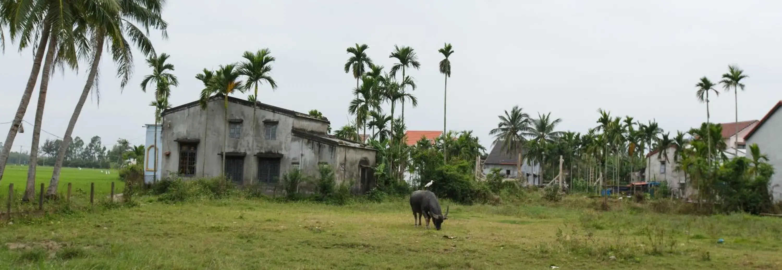 Natural landscape, Property Building in Lama Villa Hoi An