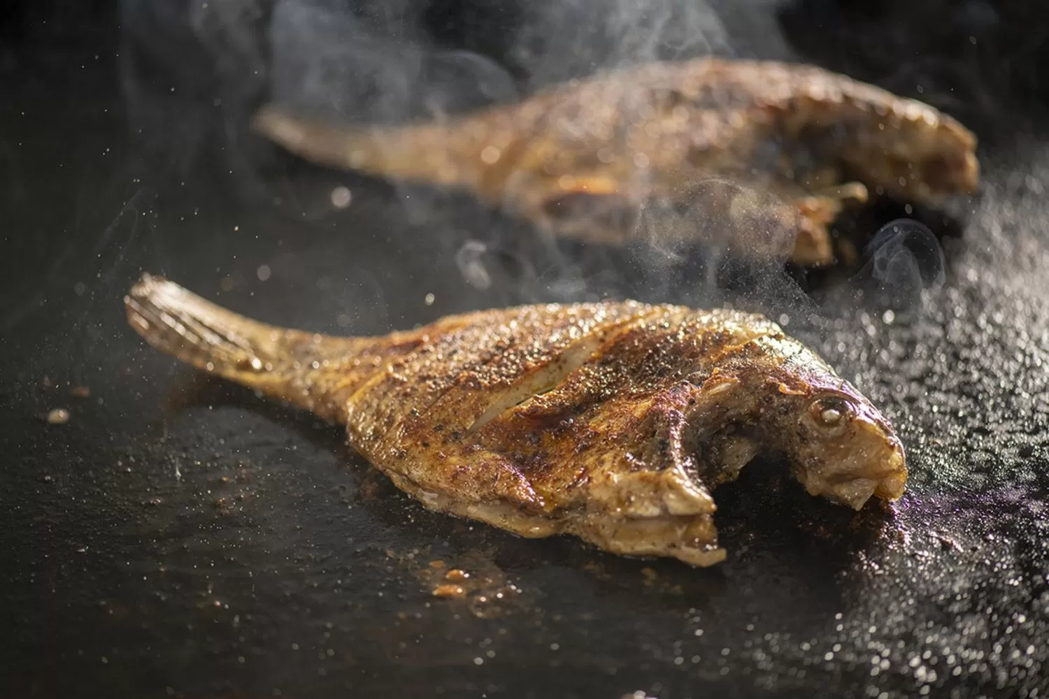 BBQ facilities in Giritale Hotel