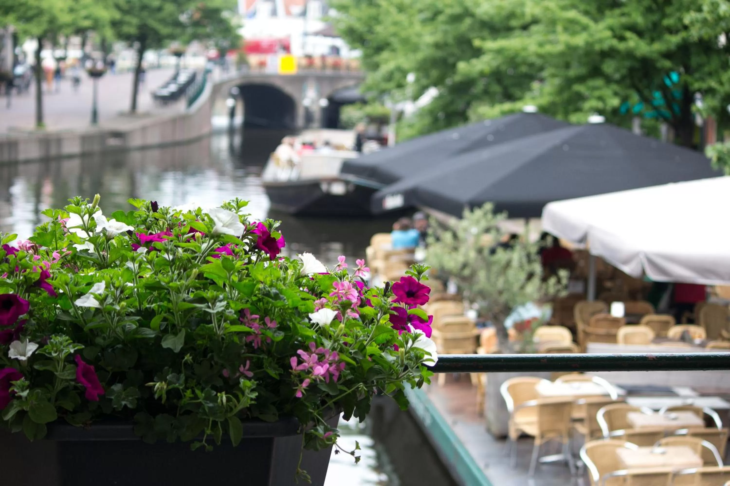 Property building in NR22 Leiden