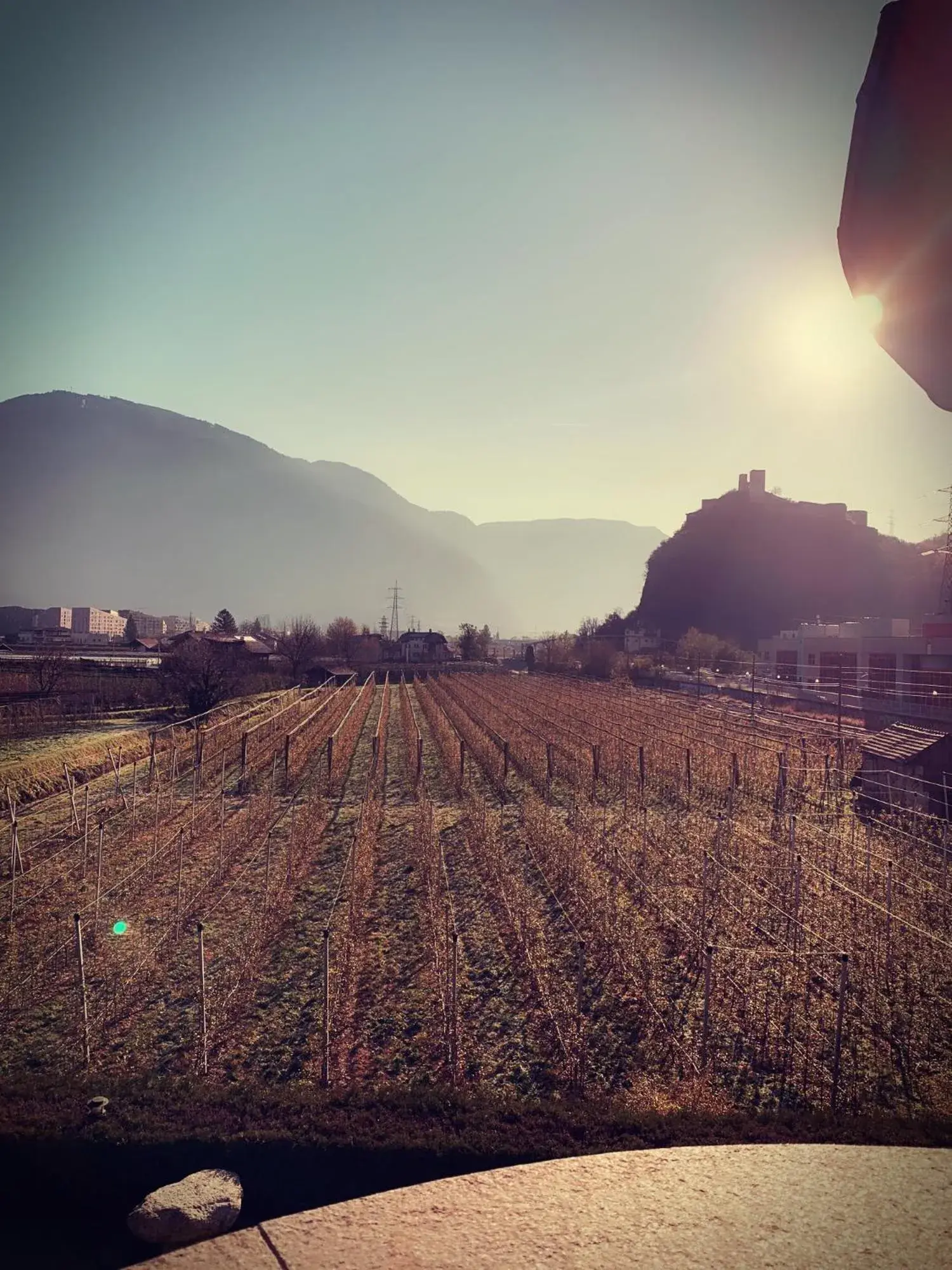 Natural landscape in Gardenhotel Premstaller