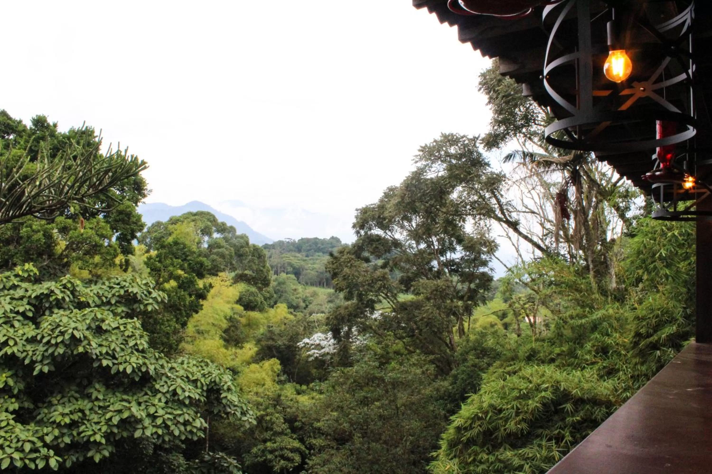 View (from property/room) in Hotel Bambu Inn