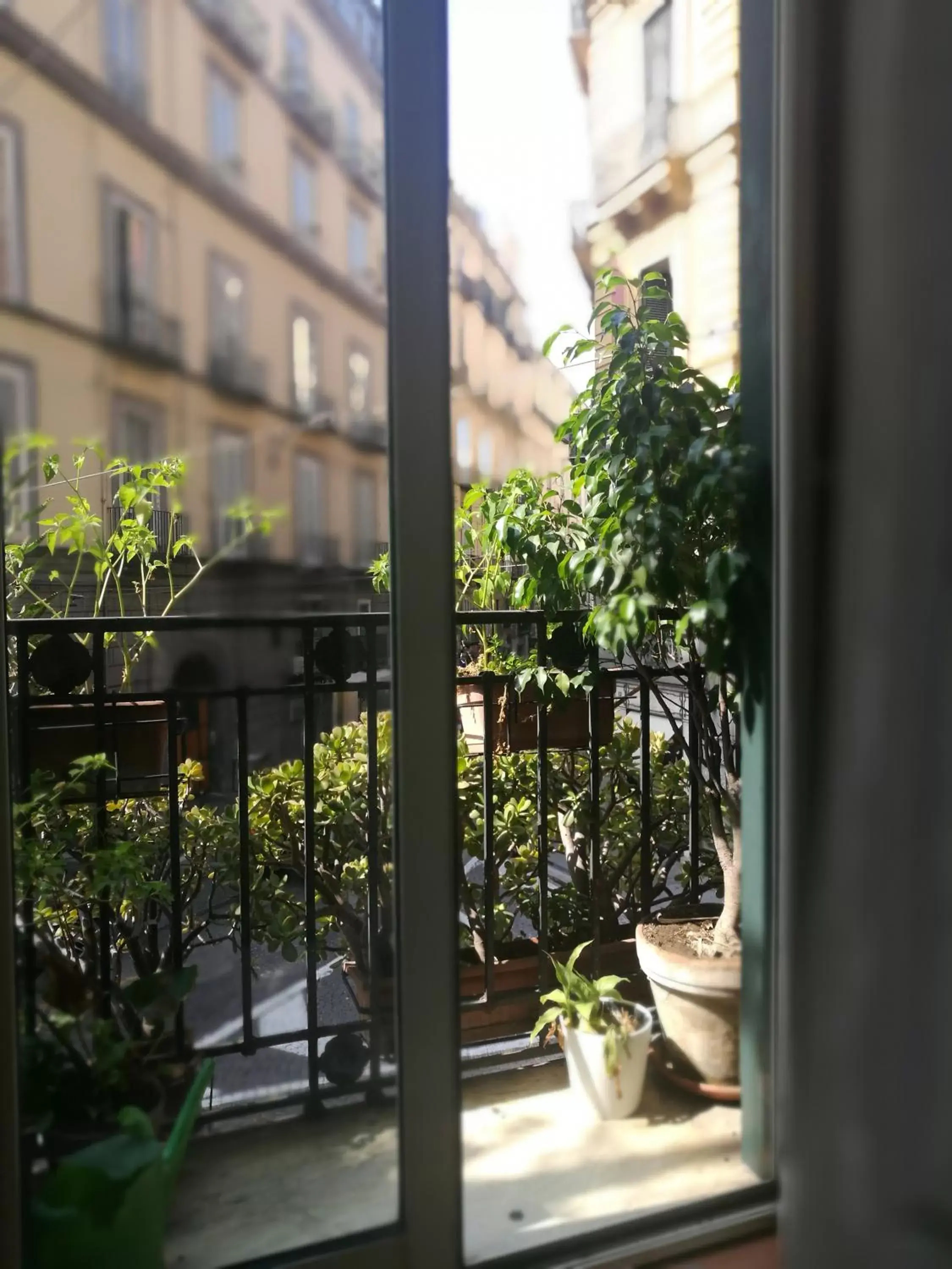 Balcony/Terrace in Bed & Breakfast Morelli 49